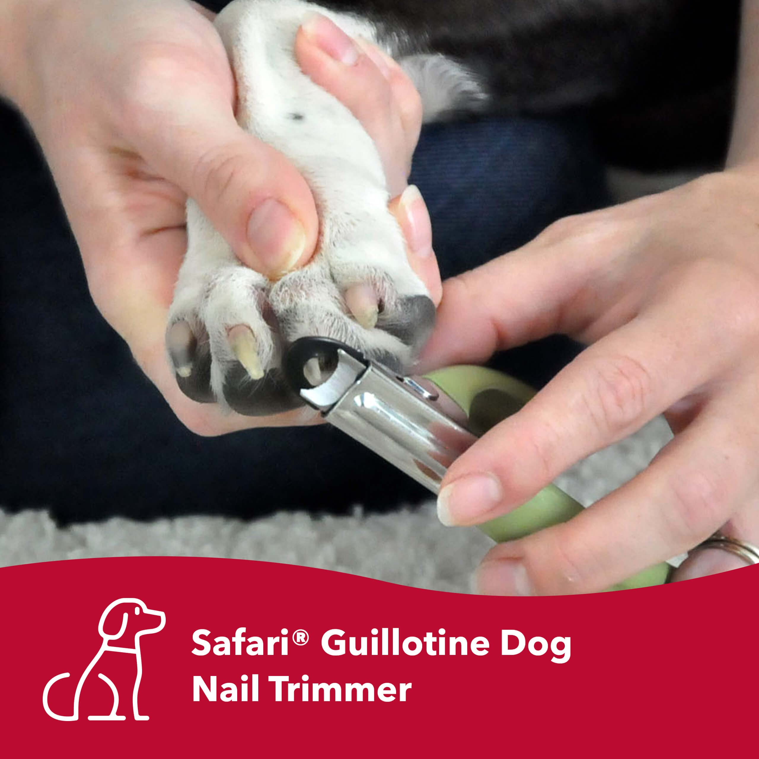 Safari Guillotine Nail Trimmer For Dogs