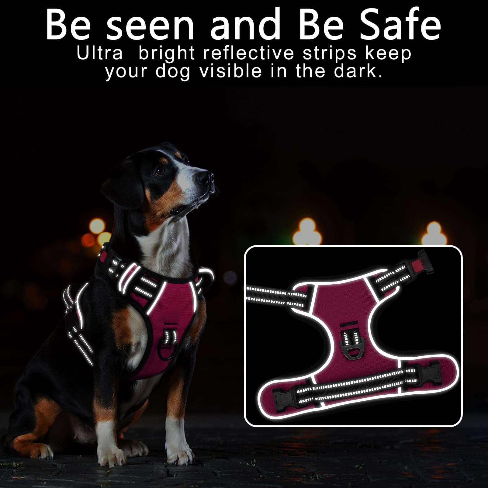Timos Dog Harness, 3 Snap Buckles No-Pull Soft Padded Dog Vest With 2 Metal Leash Clips, Adjustable Reflective No Choke Pet Harn