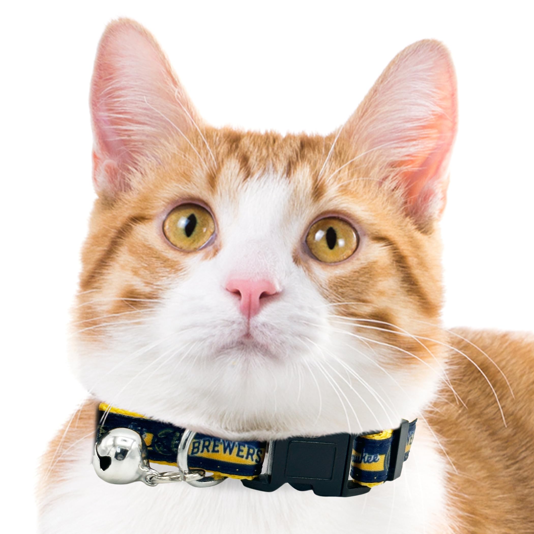 Pets First MLB Cat Collar - Satin Baseball Team Collar for Dogs & Cats, Milwaukee Brewers, Onesize, Model BRW-5034