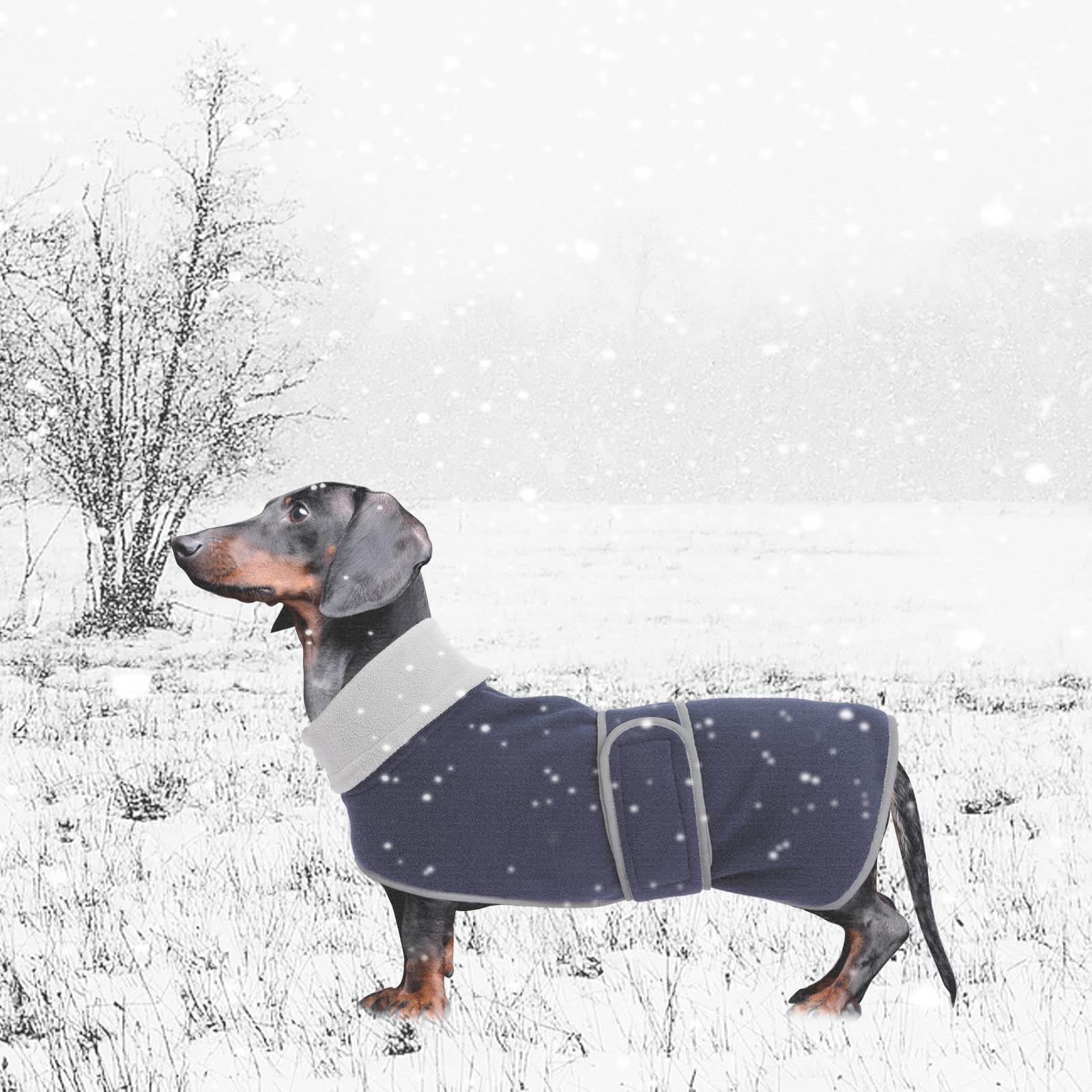 Dog Jacket, Dog Coat Perfect For Dachshunds, Dog Winter Coat With Padded Fleece Lining And High Collar, Dog Snowsuit With Adjustable Bands-Navy-M
