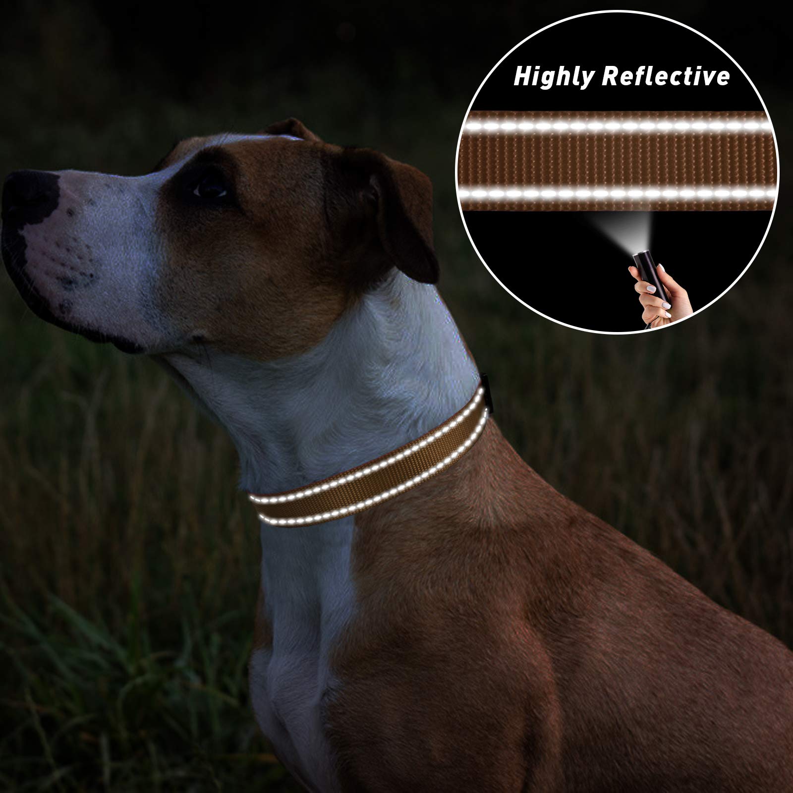 Tagme Reflective Nylon Dog Collars, Adjustable Classic Dog Collar With Quick Release Buckle For Puppy, Khaki, 3/8' Width