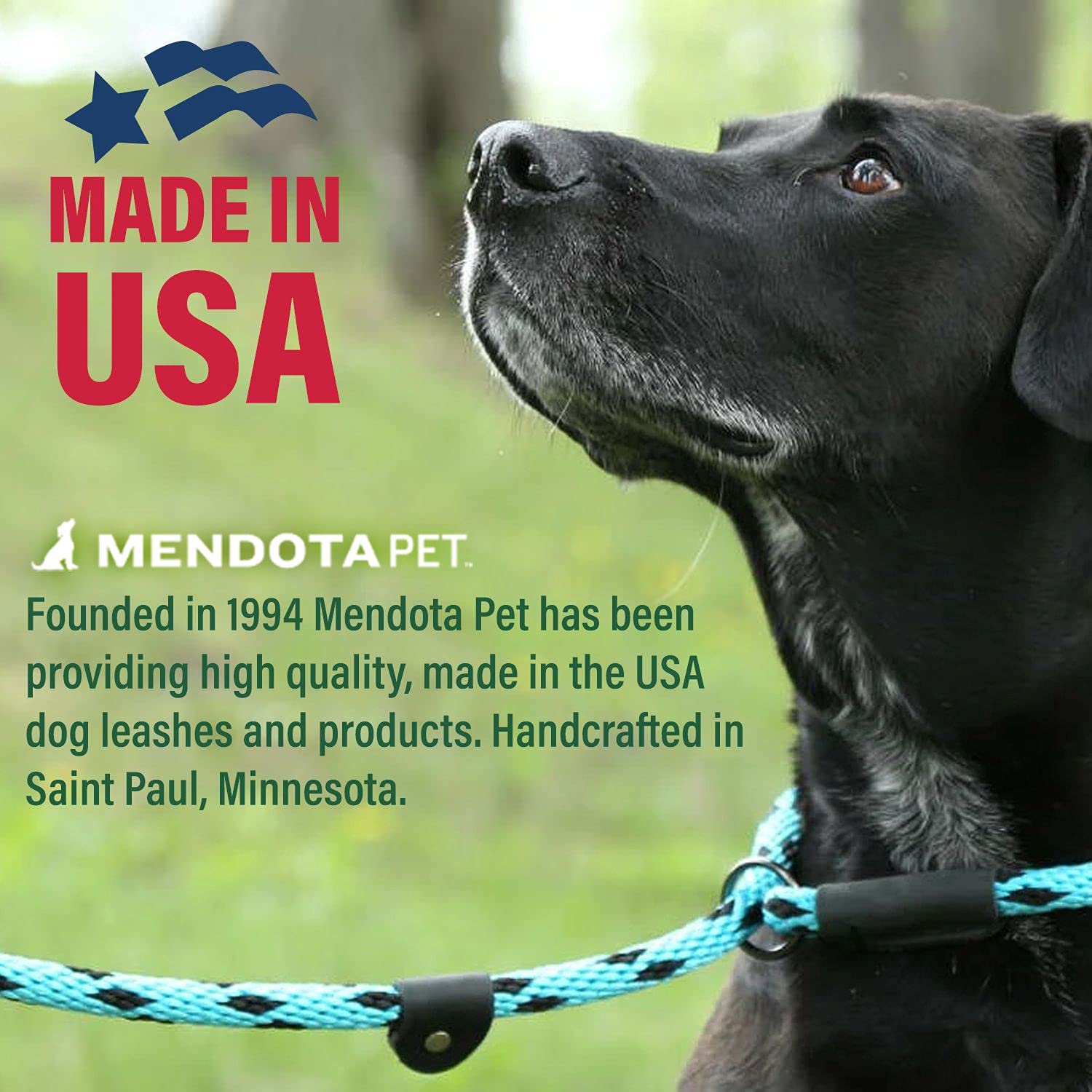 Mendota Pet Slip Leash - Dog Lead And Collar Combo - Made In The Usa - Amethyst, 1/2 In X 4 Ft - For Large Breeds