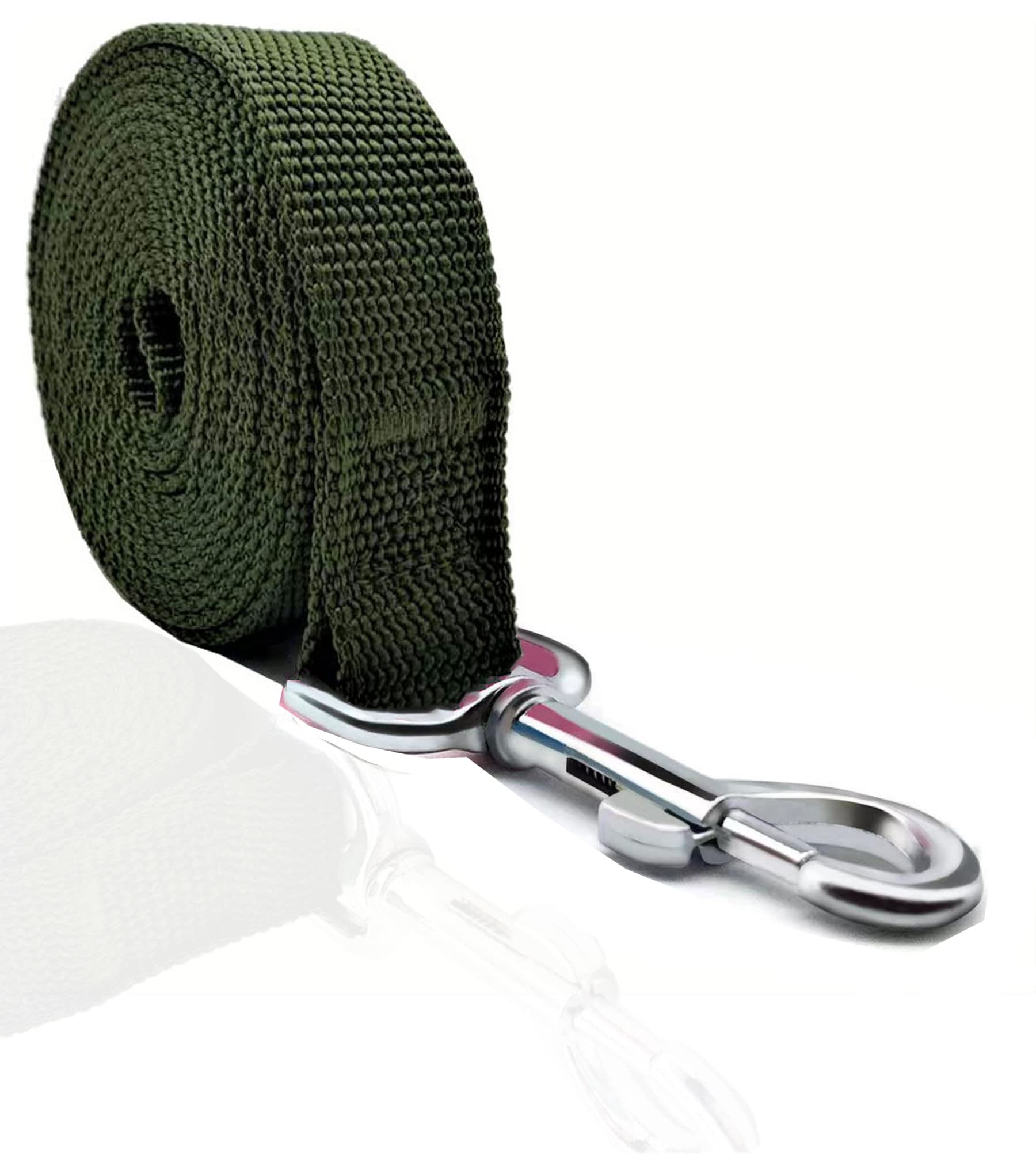 Taian 4Ft/5Ft/6Ft Strong Dog Leash, Nylon Dog Leashes For Small Medium Large Dogs (1 In X 4 Ft, Green)
