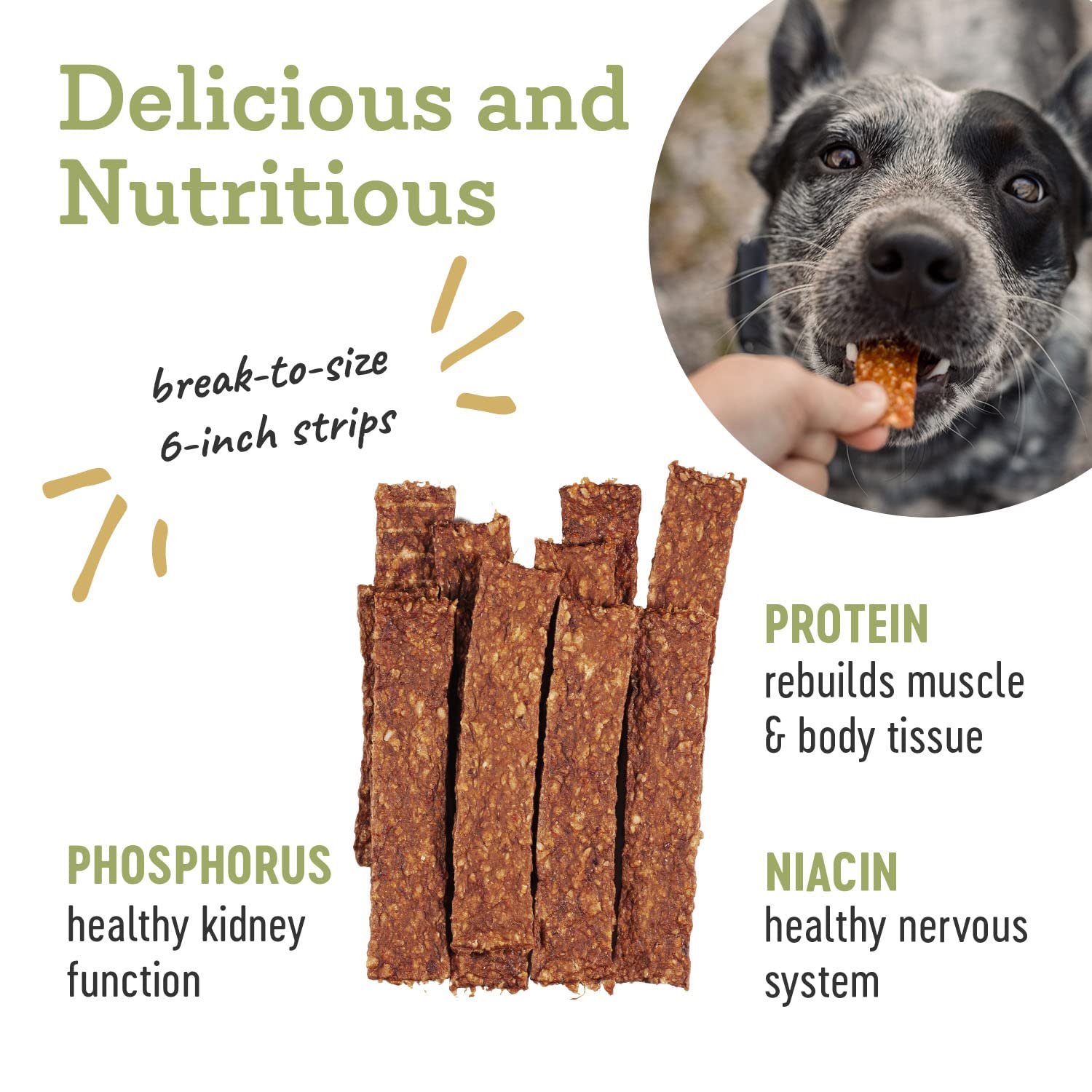 Farm Hounds - Turkey Strips - Premium Natural Jerky for Dogs - 100% Humanely Raised Turkey - Break-to-Size - Great for Training
