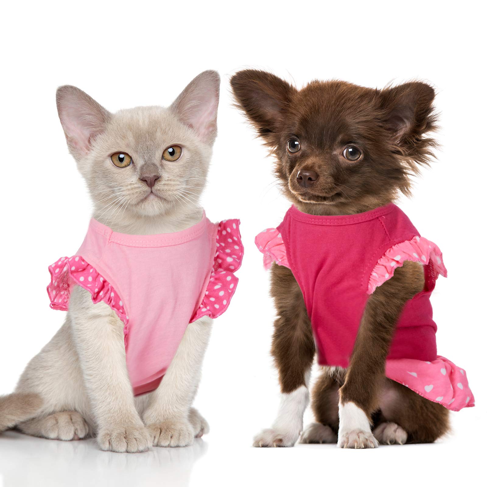 Weewooday 4 Pieces Pet Dress Shirt Cute Dog Sundress Printed Dog Princess Dress Puppy Summer Apparel Clothes Pet Skirt Shirt With Ruffles Cloth For Small Dogs Cats Puppy(M)