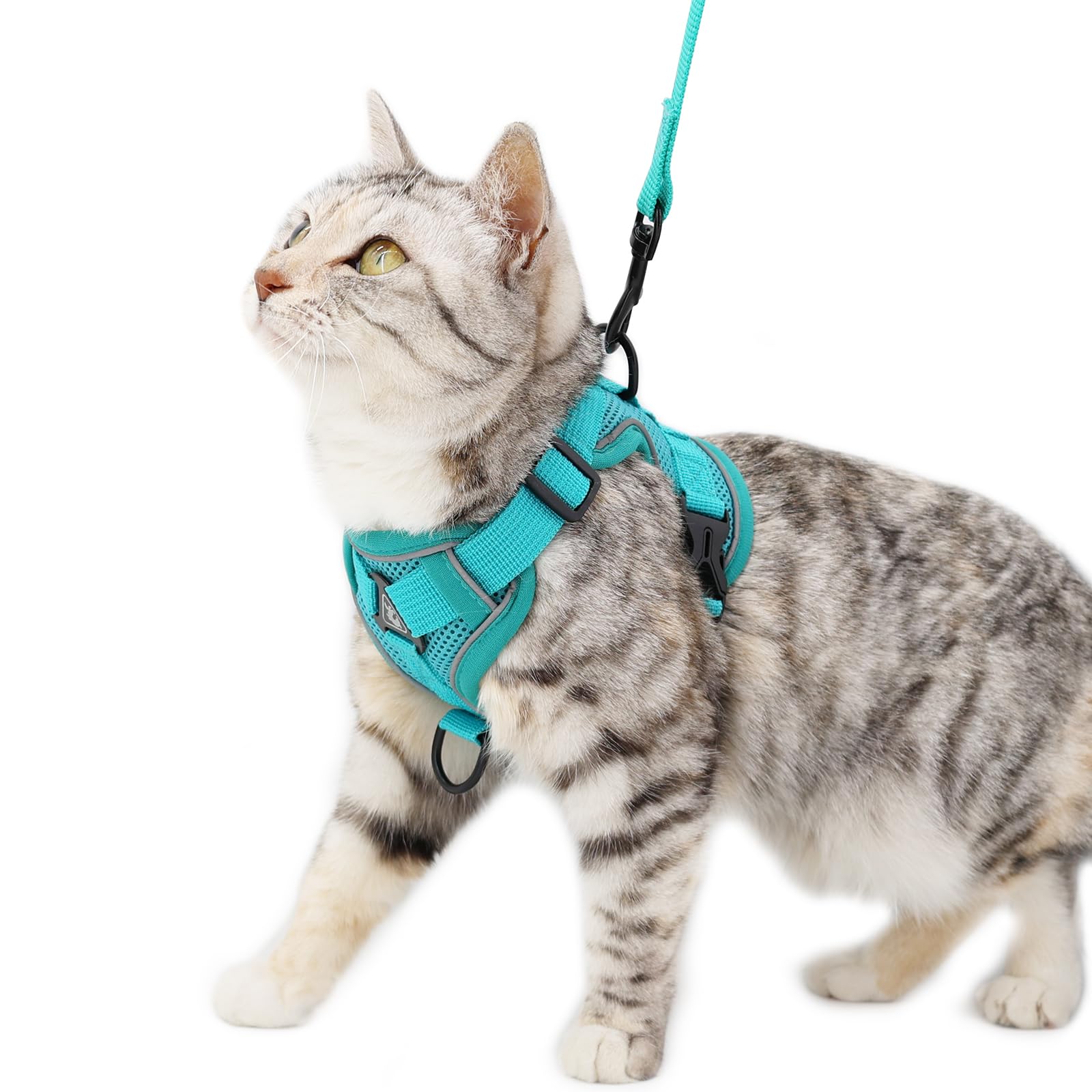 pangdi Cat Harness and Leash Set Escape Proof Tactical Medium Kitten Harness Emotional Support Cat Vest, Turquoise, M