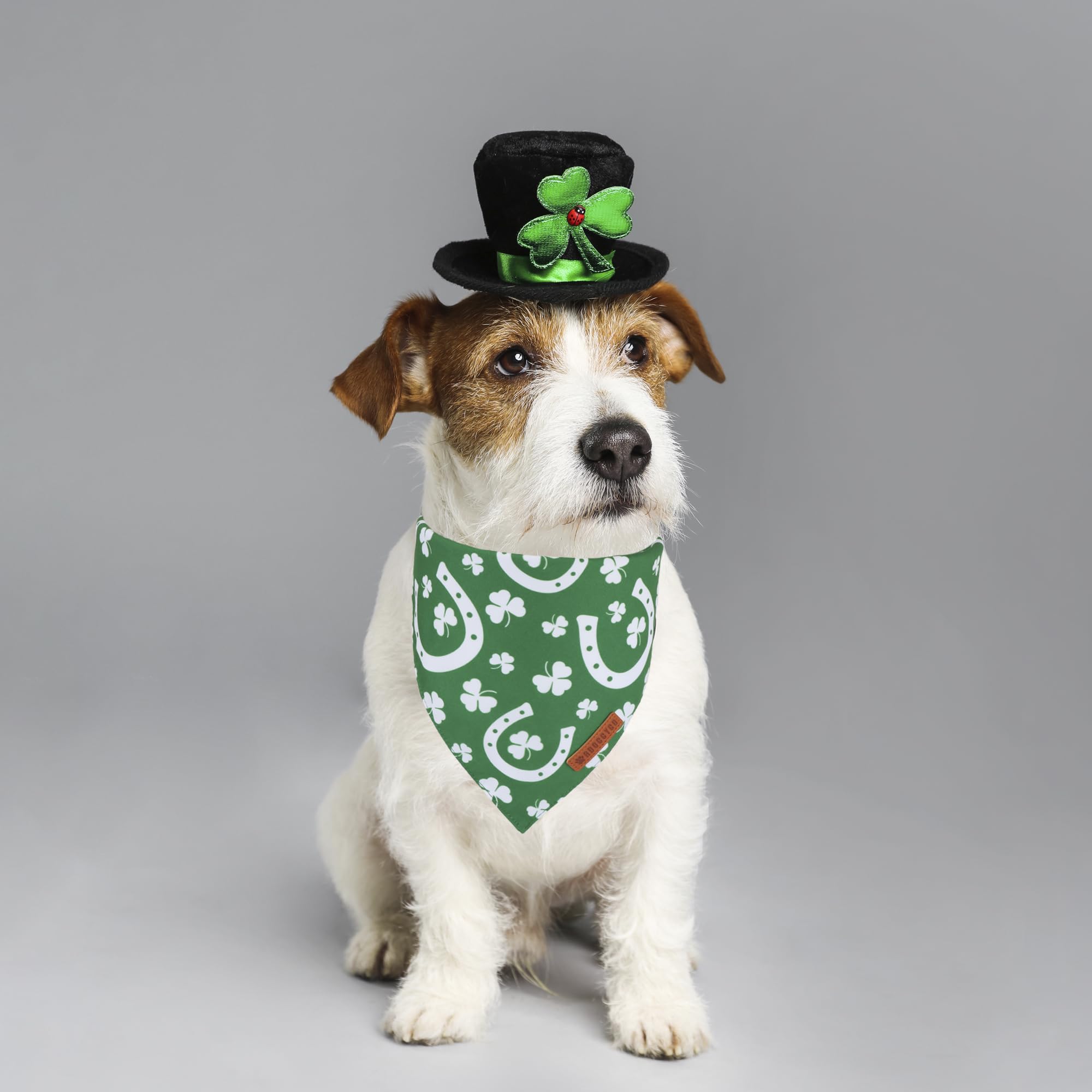 Adoggygo St. Patrick'S Day Dog Bandana, Green Shamrock Scarf, Multi Size Offered, Saint Patrick Day Bandanas For Small Dogs (Sma