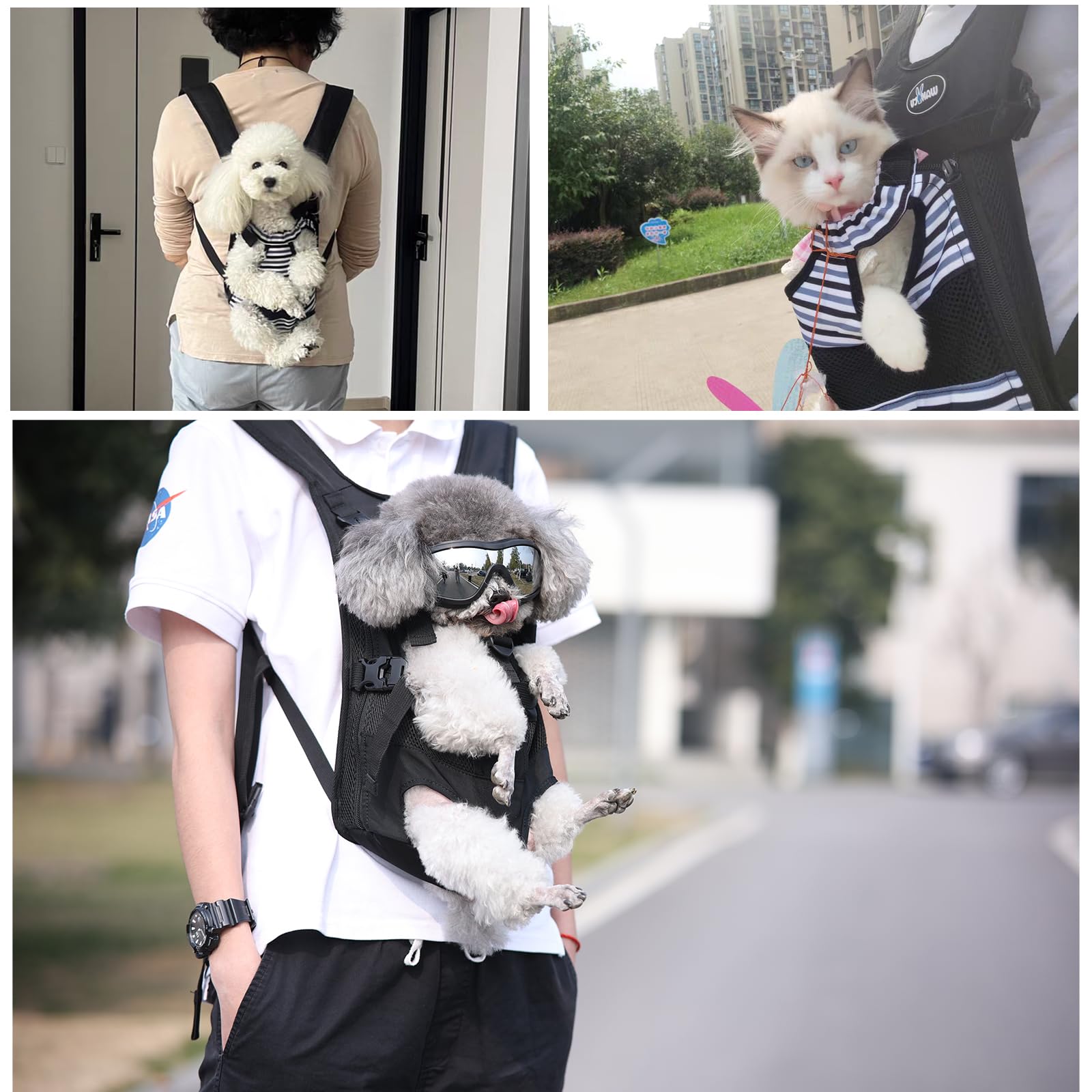 Wakytu Dog Front Carrier Backpack for Small Dogs, Legs Out, Padded Straps, Polyester, C28S-BK, 1.0 Stripe, Ideal for Travel & Hiking