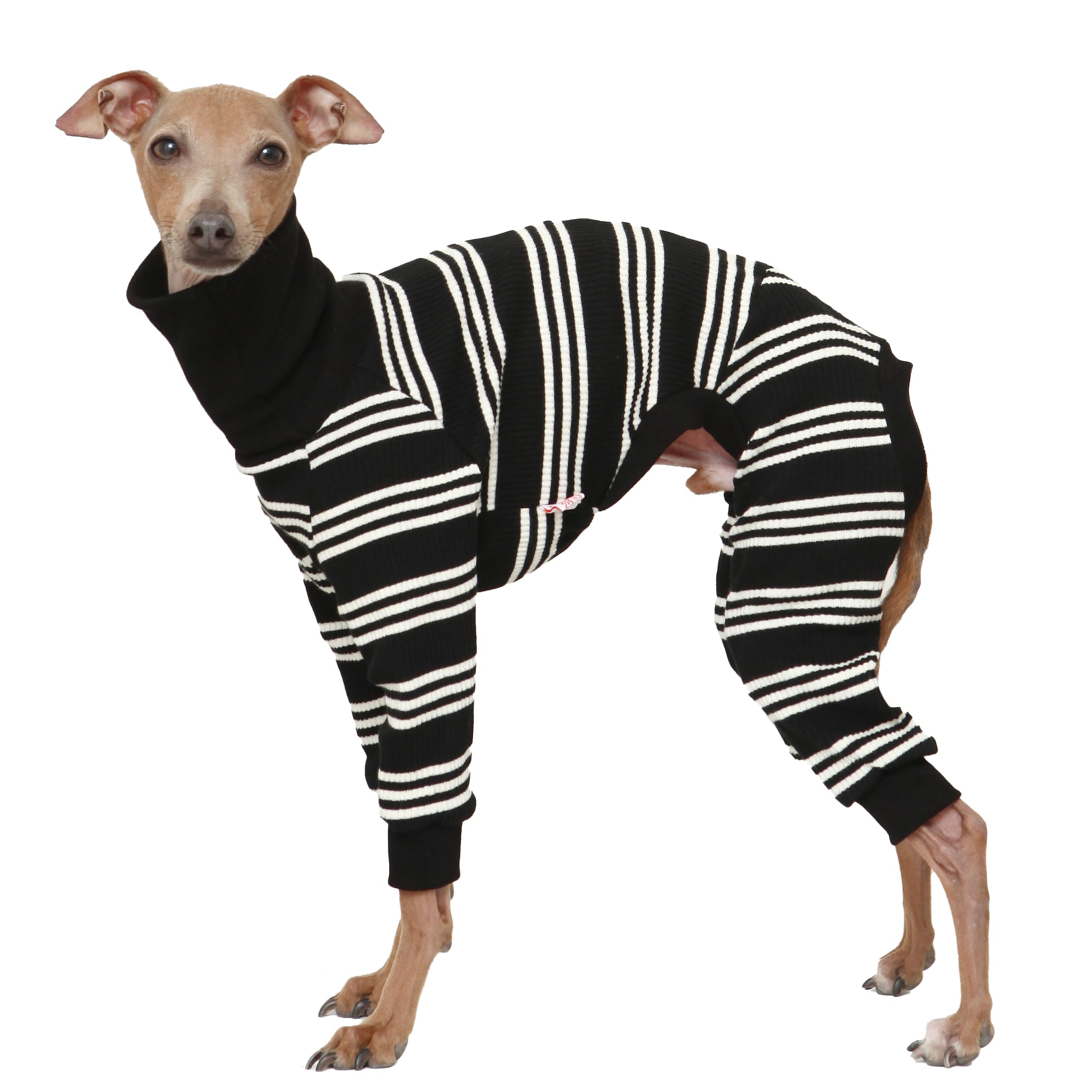 D Doggy Star Italian Greyhound Clothes Soft Stretchy Onesie Refined Stripe Outfit Whippet For Dog Coat (Xl,Onsi Ivory Str)
