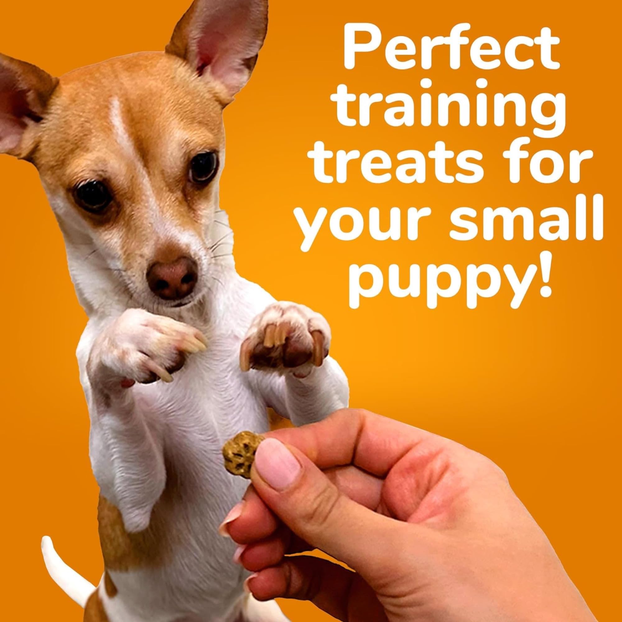 Fruitables Skinny Mini Dog Treats - Healthy Treats for Dogs - Low Calorie Training Treats - Free of Wheat, Corn and Soy - Rotiss