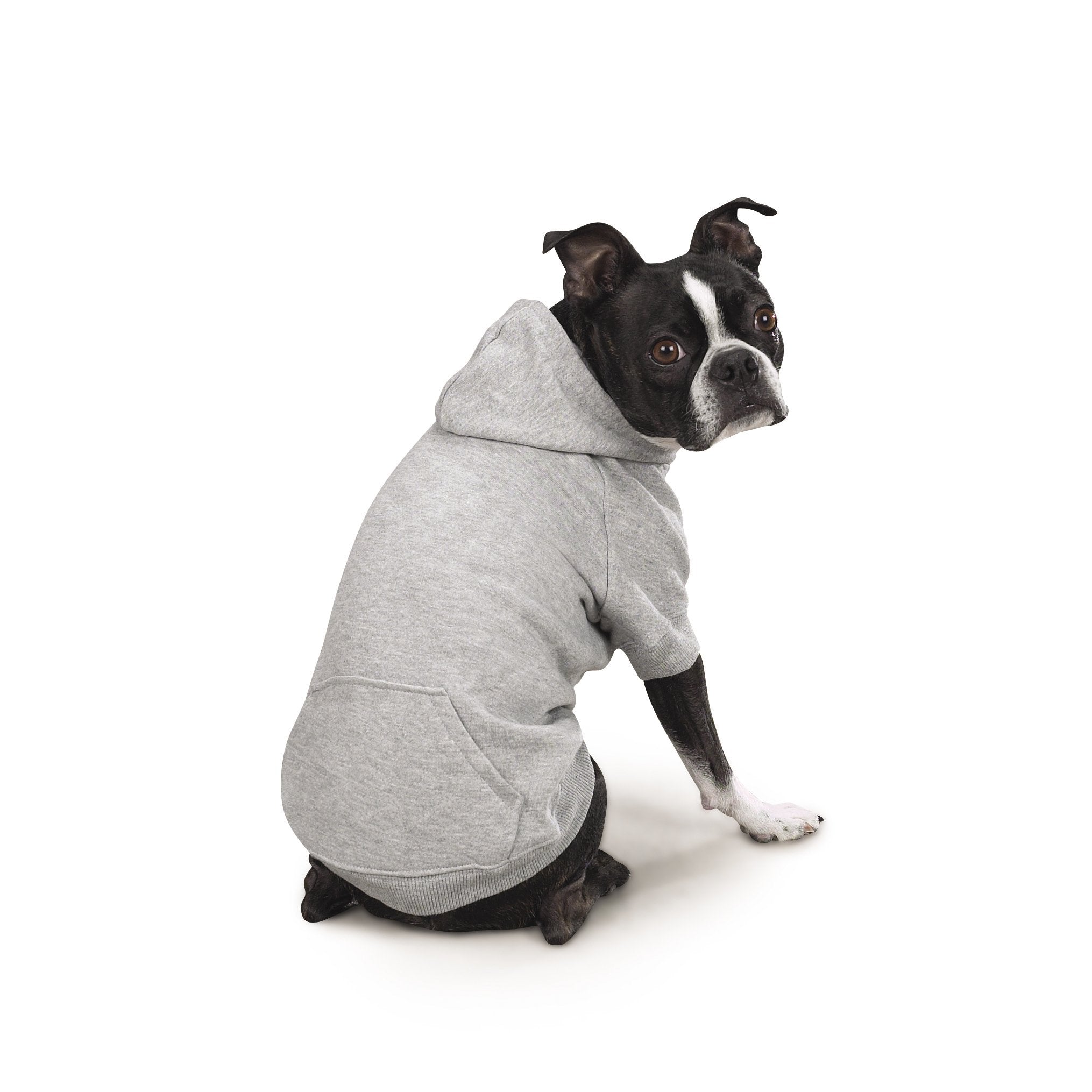 Zack & Zoey Basic Hoodie For Dogs, 8' X-Small, Heather Gray