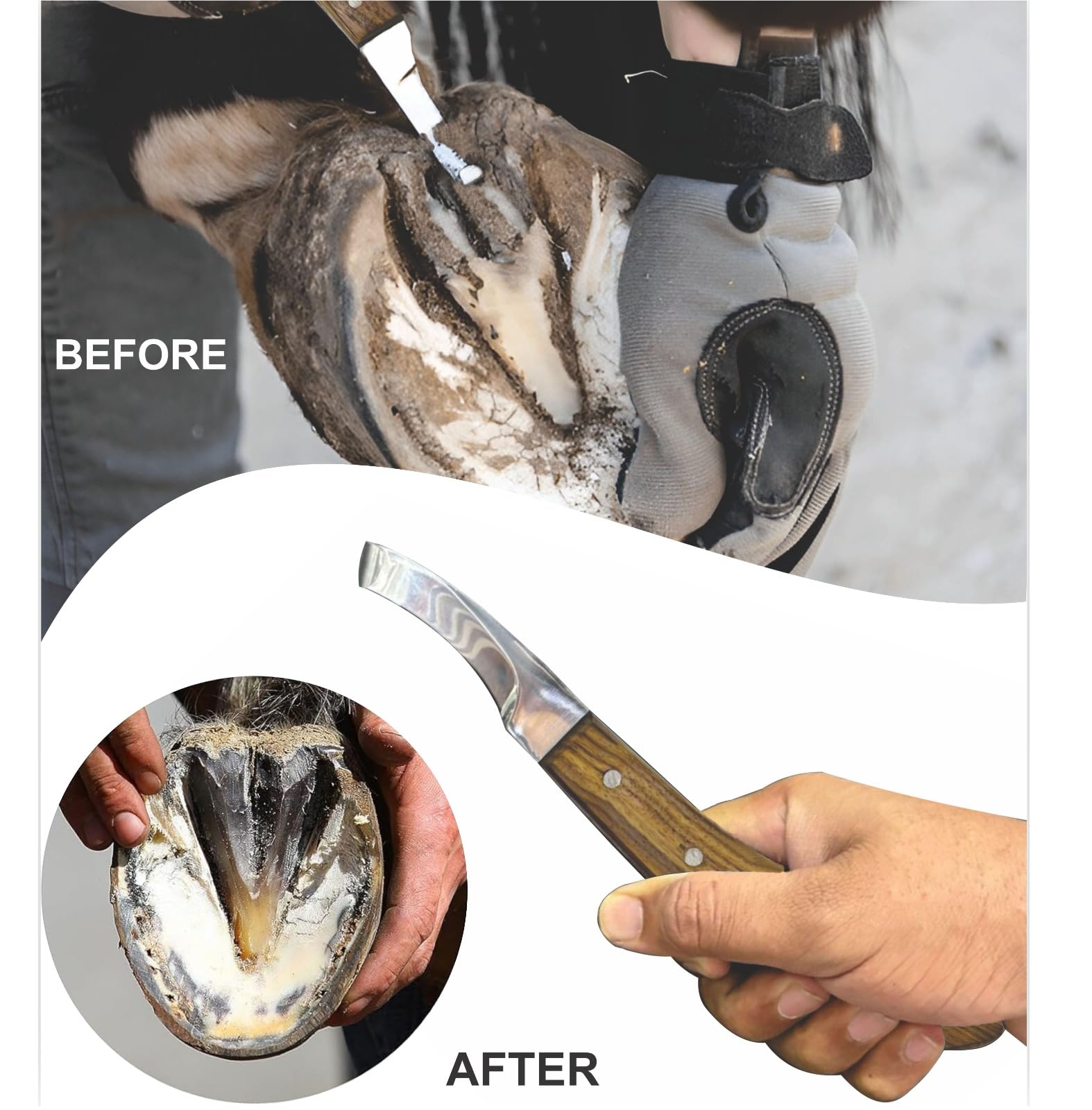Equinez Tools Farrier Hoof Knives Set-Professional Left & Right Handed Hoof Trimming Knives with Razor Sharp Stainless Steel Bla