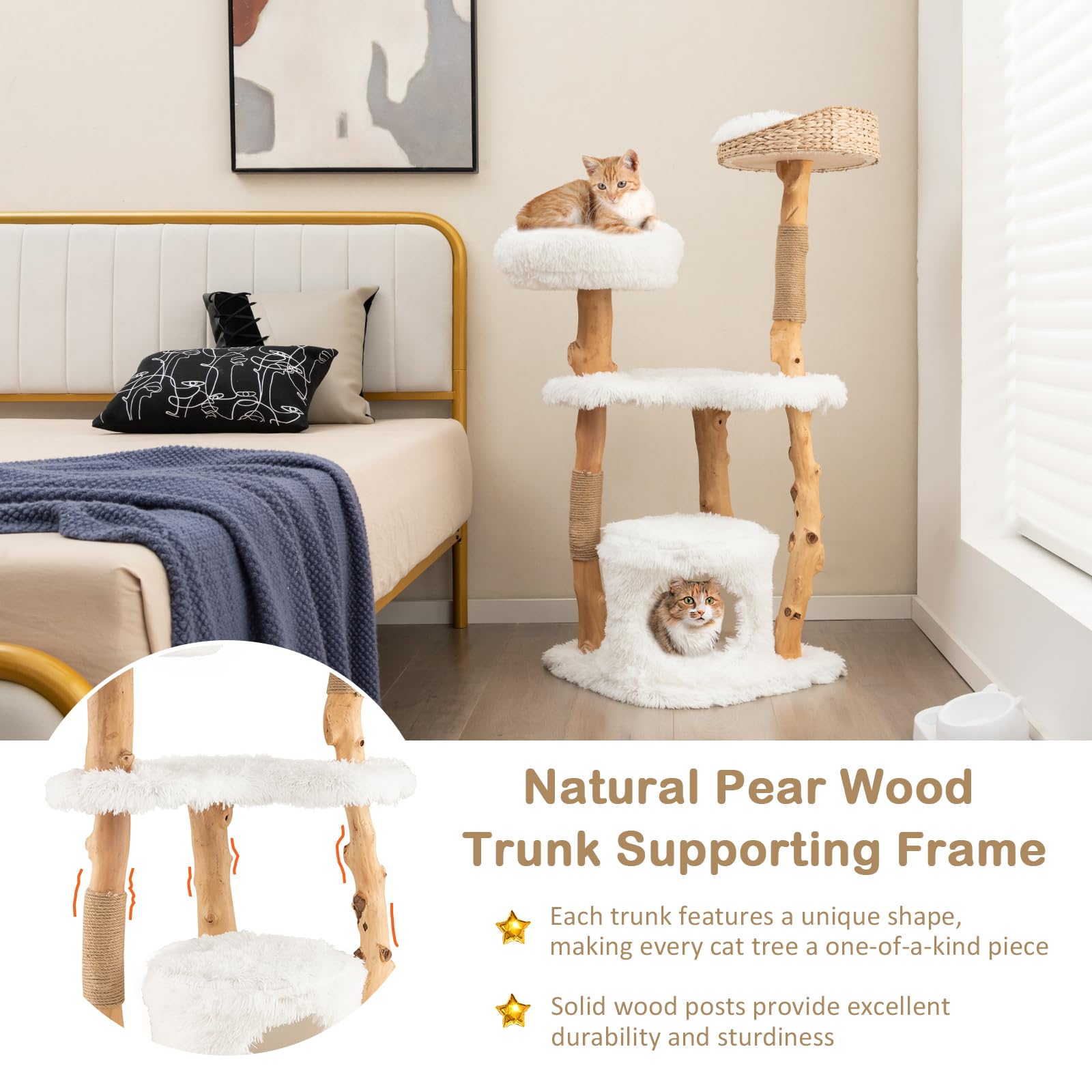 Petsite 49 Inch Cat Tree For Indoor Cats, Solid Wood Modern Multi-Level Cat Tower With Scratching Posts, Top Cattail Basket Cat Bed, Side Perch, Large Platform, And Cat Condo, Cute White Cat Tree