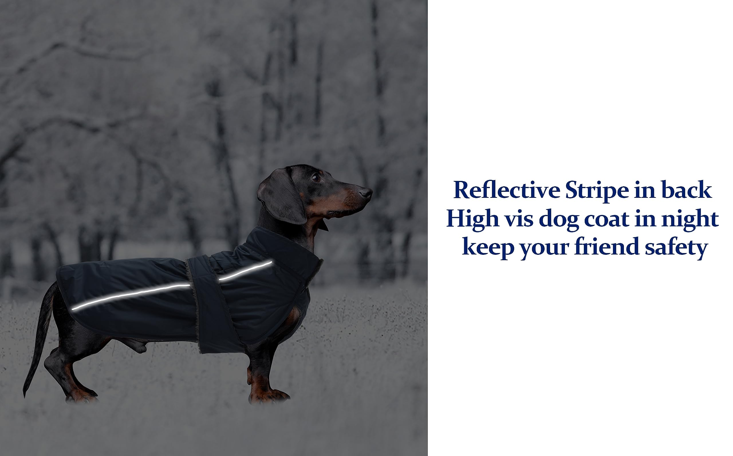 Dachshund Coat Waterproof, Perfect For Dachshund Sausage, Puppy Winter Jacket With Padded Fleece Lining, Dog Clothing With Bands