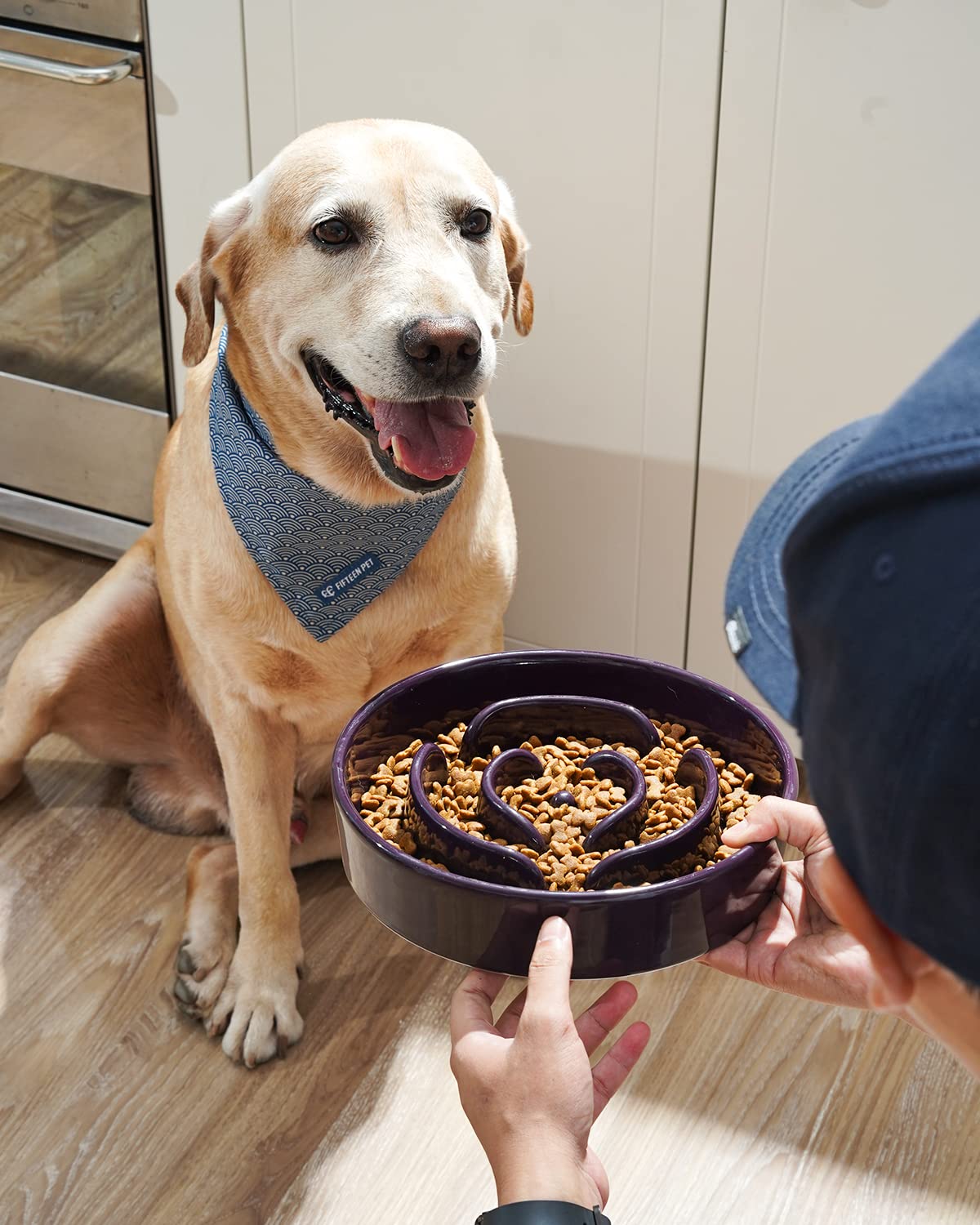 LE TAUCI Slow Feeder Dog Bowl, Ceramic 3 Cups for Medium Large Breeds, Maze Purple, Puzzle Design to Slow Down Eating