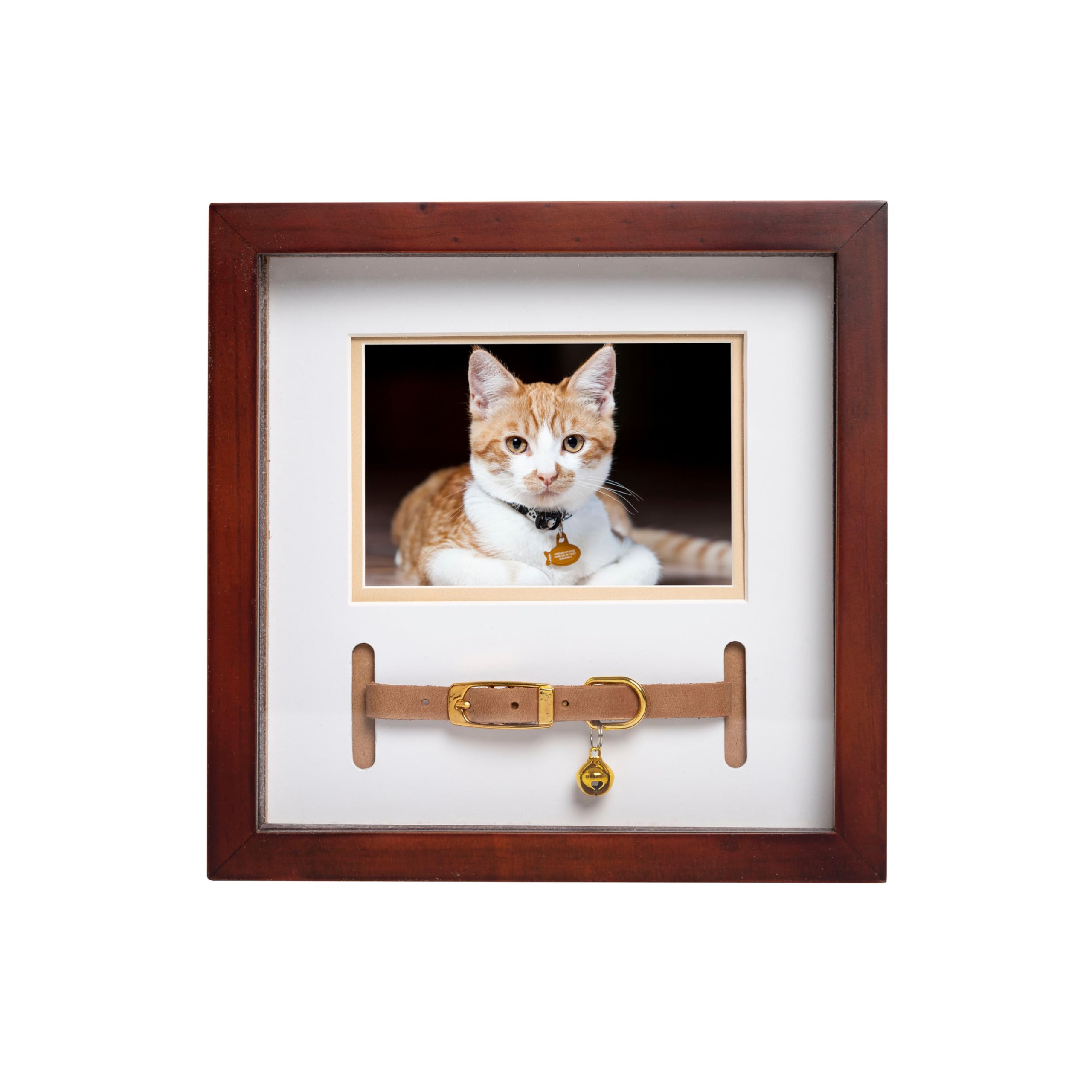 Pearhead Pet Collar Keepsake Frame - Dual Display Memorial Keepsake For Cat & Dog Collars, Wall Mount Or Tabletop, Ideal Gift And Home Decor For Pet Owners, 3' X 4.5' Photo Insert, Espresso