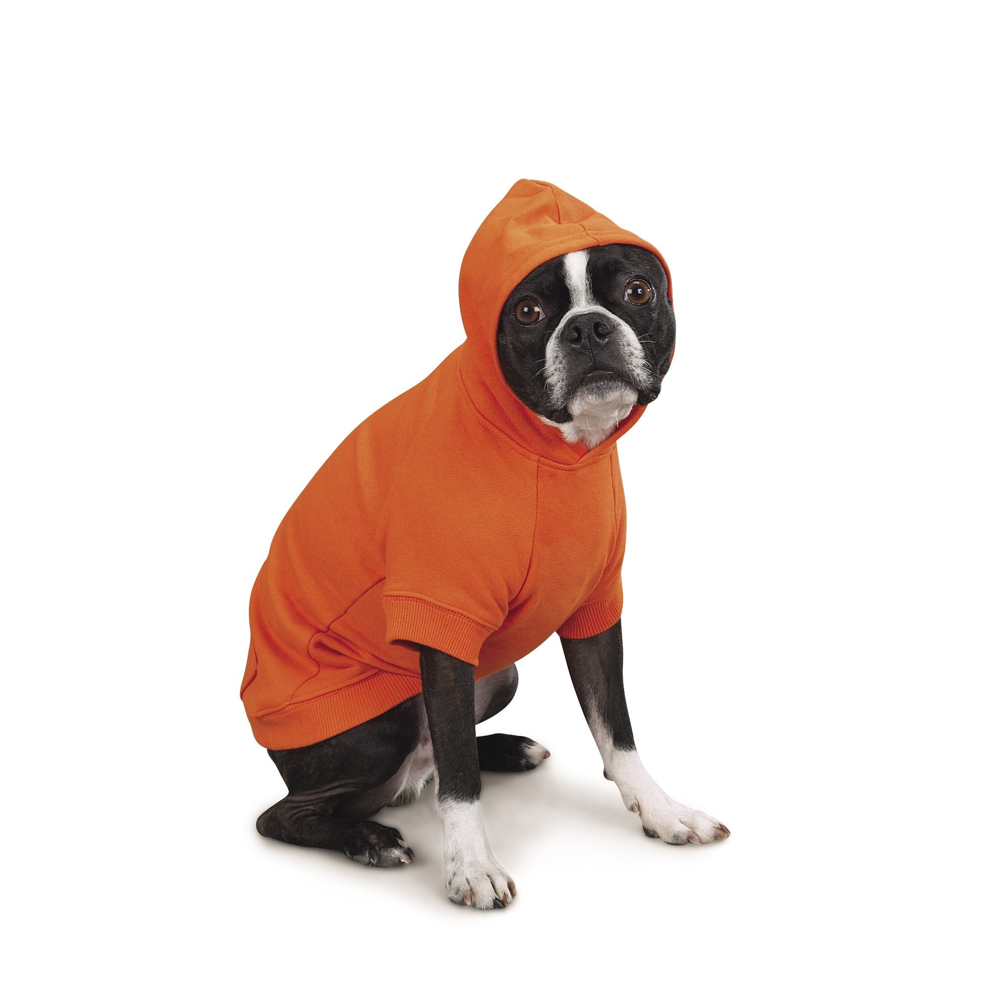 Zack & Zoey Basic Hoodie For Dogs, 20' Large, Vibrant Orange