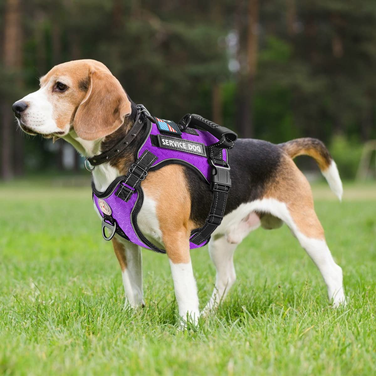 Cymiler Service Dog Vest,No-Pull Dog Harness And Leash Set,Adjustable Oxford Reflective Service Dog Vest Harness With Handle For Outdoor Walking Training,Easy Control For Small Medium Large Dogs