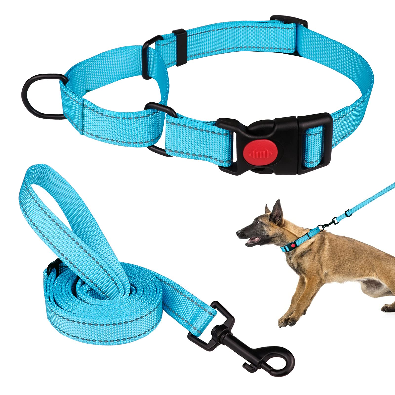 Martingale Dog Collar And Leash Set Martingale Collars For Dogs Reflective Martingale Collar For Small Medium Large Dogs(Sky Blue&L)