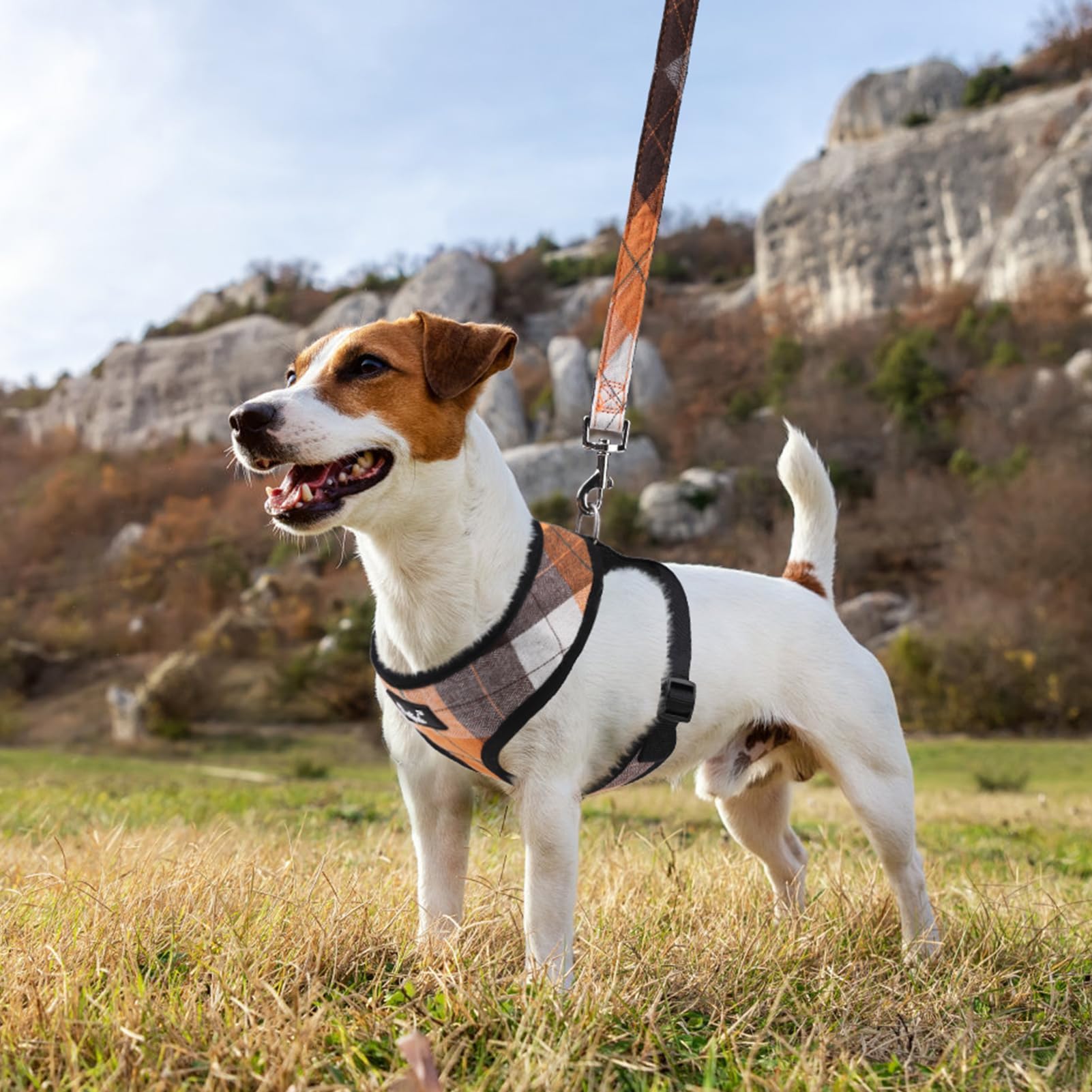 Pupteck Soft Mesh Dog Harness And Leash Set Pet Puppy Cat Comfort Padded Vest No Pull Harnesses, Orange, M