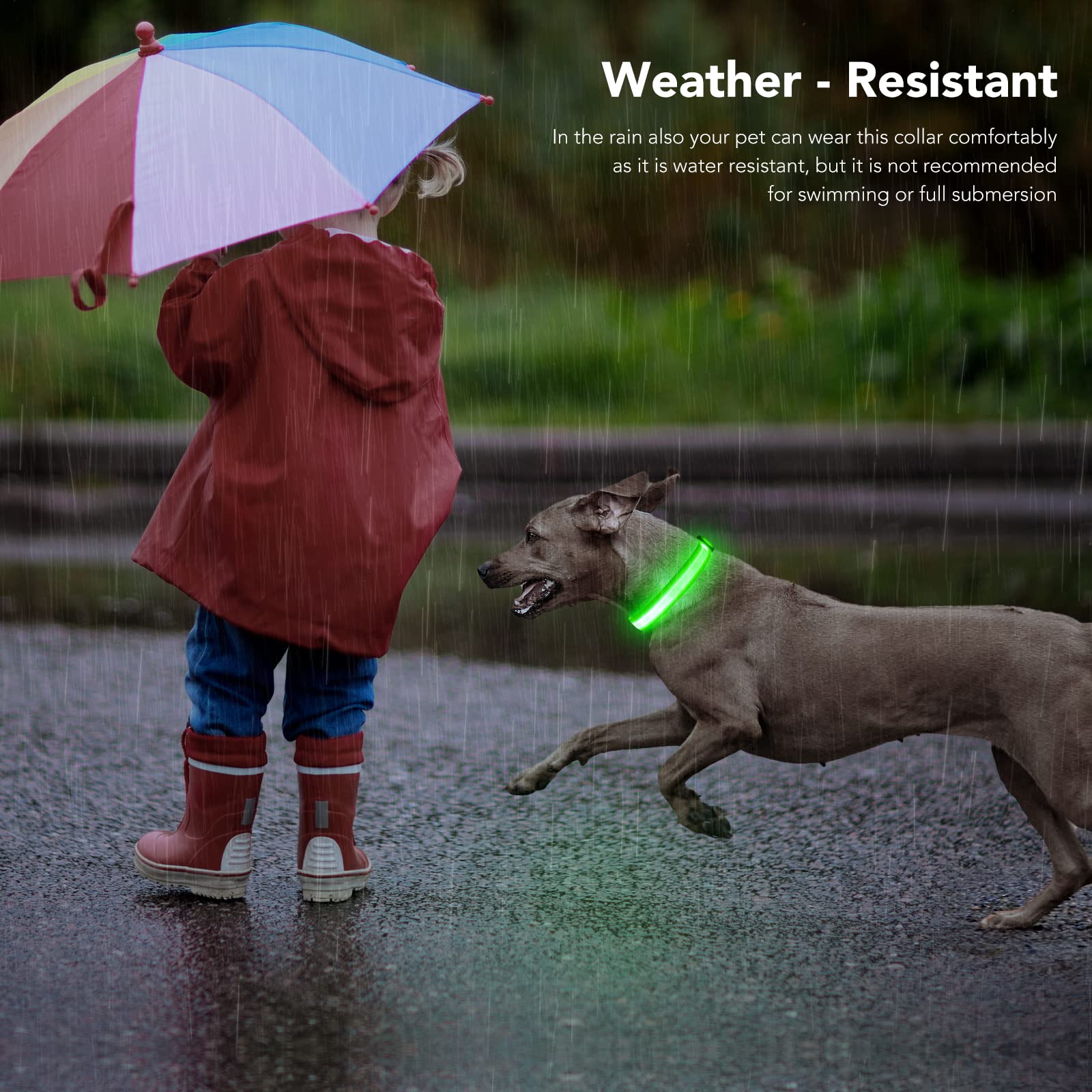 Pzrlit Led Light Up Dog Collars Micro Usb Rechargeable Waterproof, Full Adjustable Lighted Glow Dark Dog Collar Light For Night Walking For Small Medium Large Dogs, Green