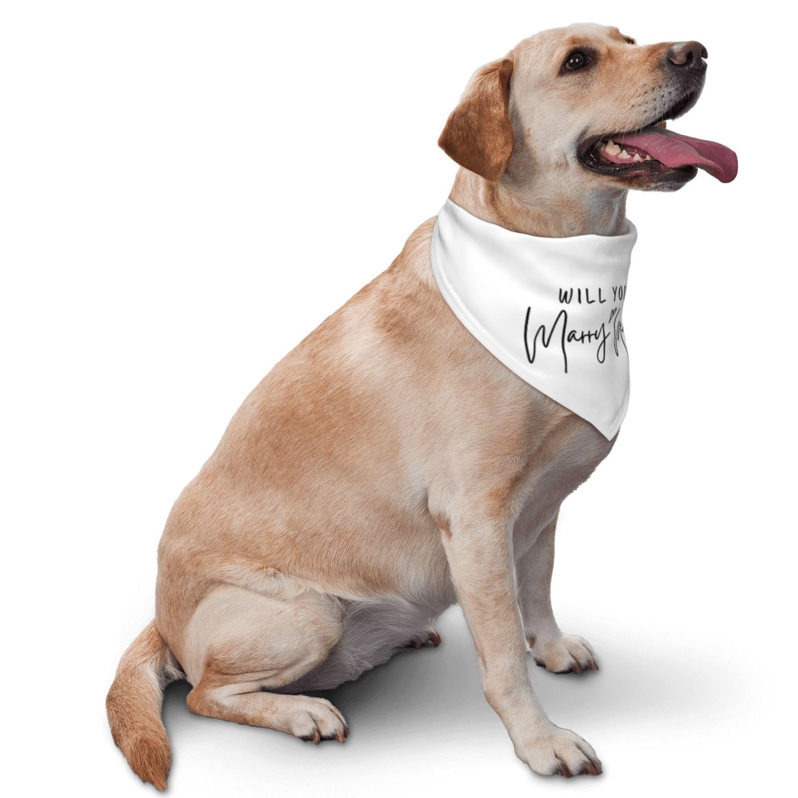 Vercosee Will You Marry Me? Wedding Engagement,Announcement,Marriage Proposal Dog Bandana, Pet Accessories For Dog Lovers,Wedding Photo Props Accessories (White)