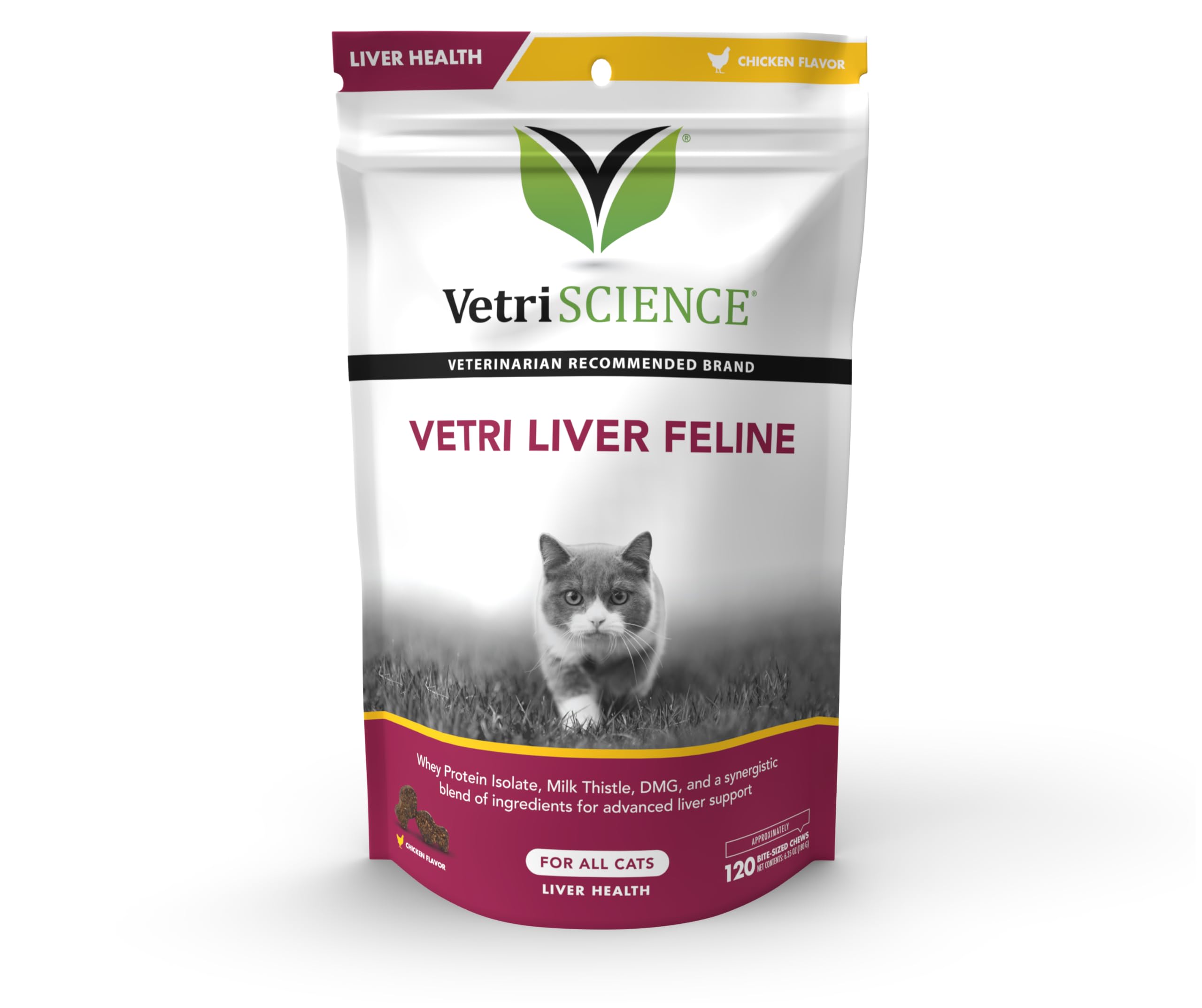 VetriScience Vetri Liver Feline Milk Thistle Supplement for Cats  Advanced Liver Supplement for Cats with Antioxidants, Liver D