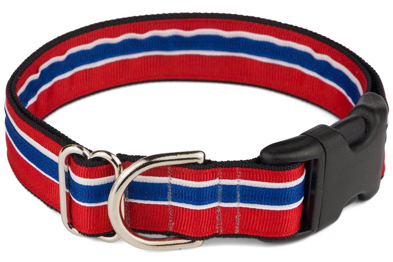 If It Barks 1'' Designer Striped Dog Collar (Small (11''-15''), Patriotic)