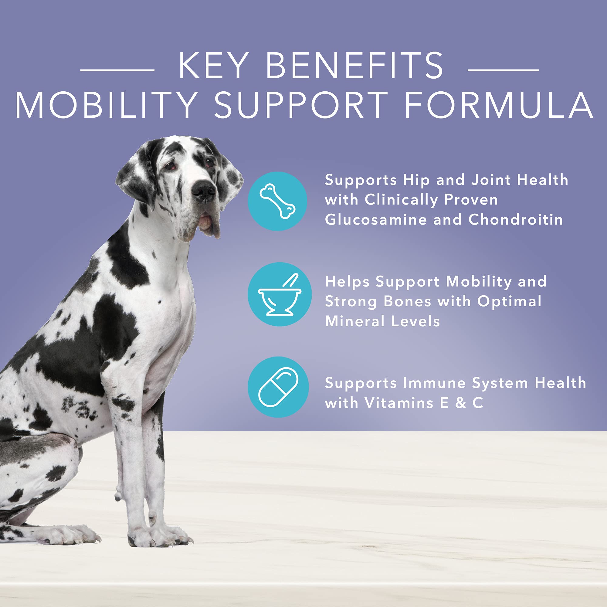 Blue Buffalo True Solutions Mobility Care Natural Dry Dog Food for Adult Dogs, Chicken, 4-lb. Bag