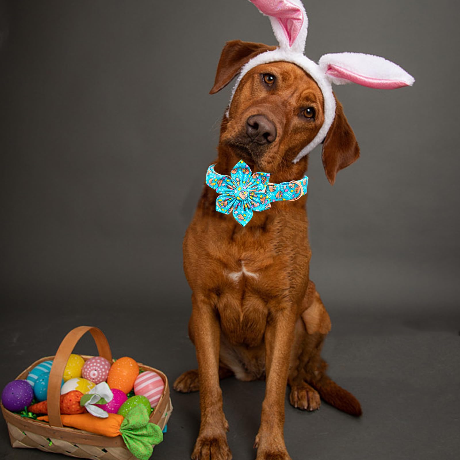 Lionheart Glory Easter Day Dog Collar With Flower For X-Small Dogs, Colorful Spring Puppy Collar With Easter Egg And Flowers