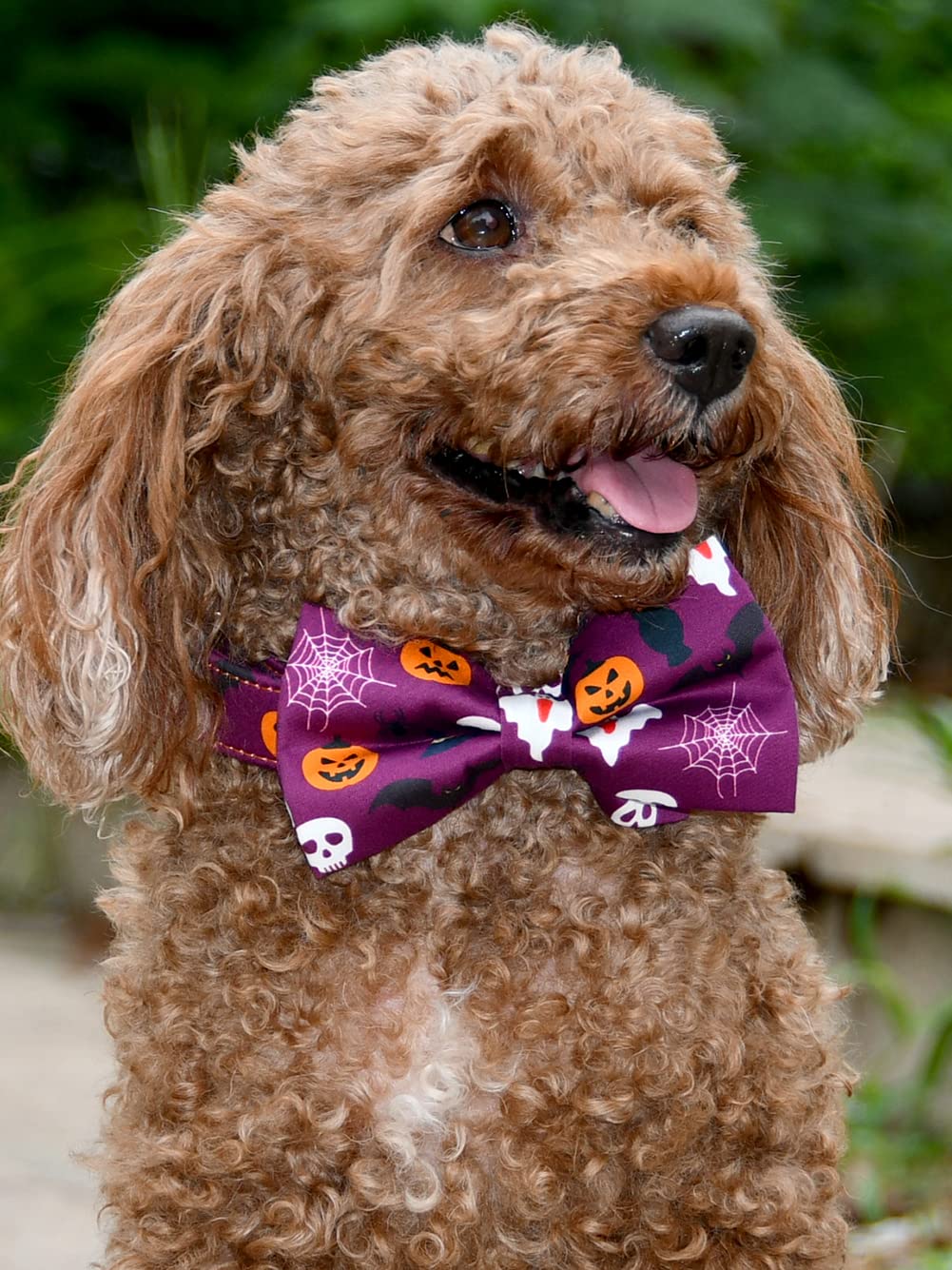 Nesttimes Halloween Bats,Ghosts,Black Cats & Pumpkins Dog Bow Tie Dog Collar,Detachable Bowtie, Adjustable Collar For Small Medium Large Dogs , S(10 --16'')