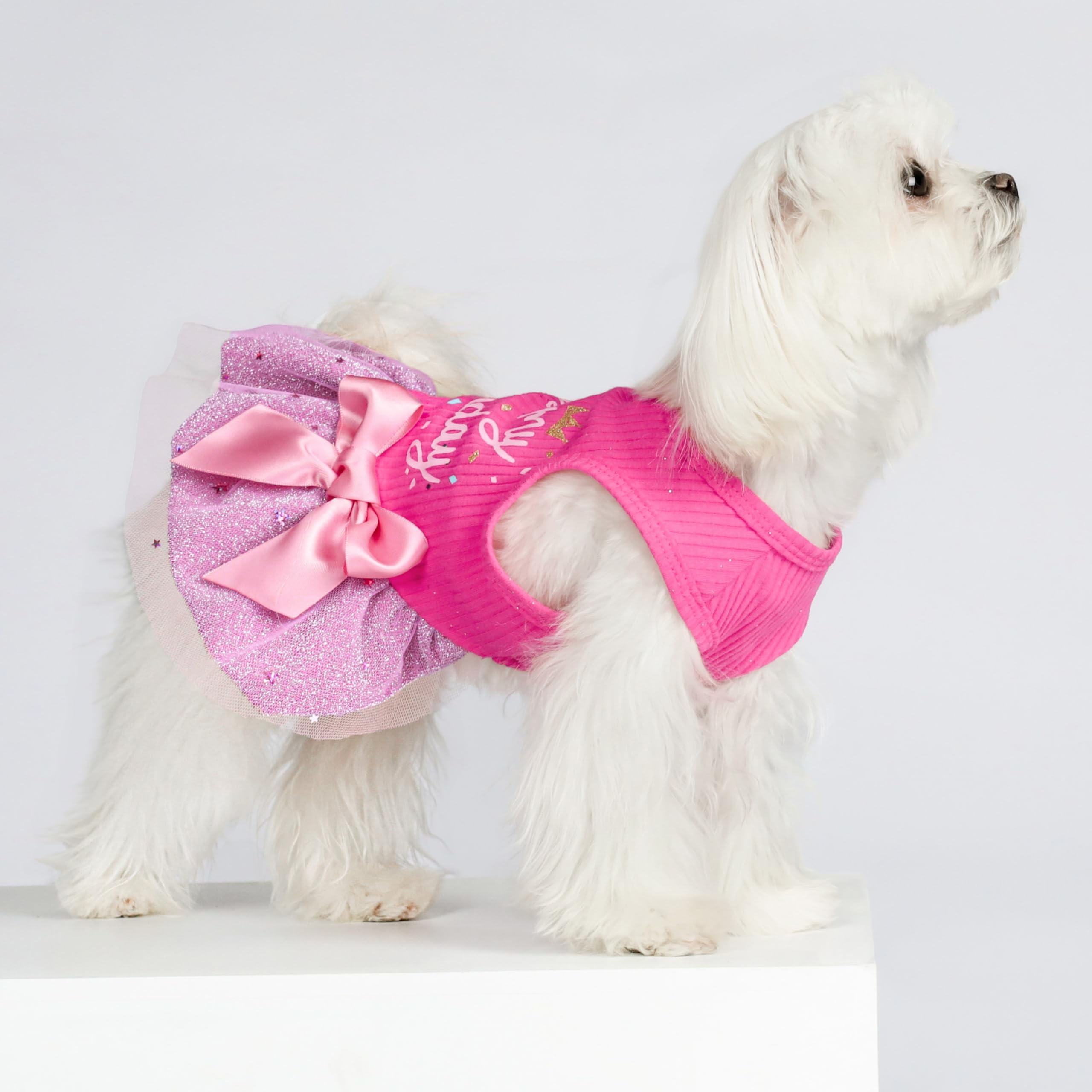 Fitwarm It'S My Birthday Dress With Bowknot For Small Dogs, Funny Clothes For Female Pets, Pink, Xs