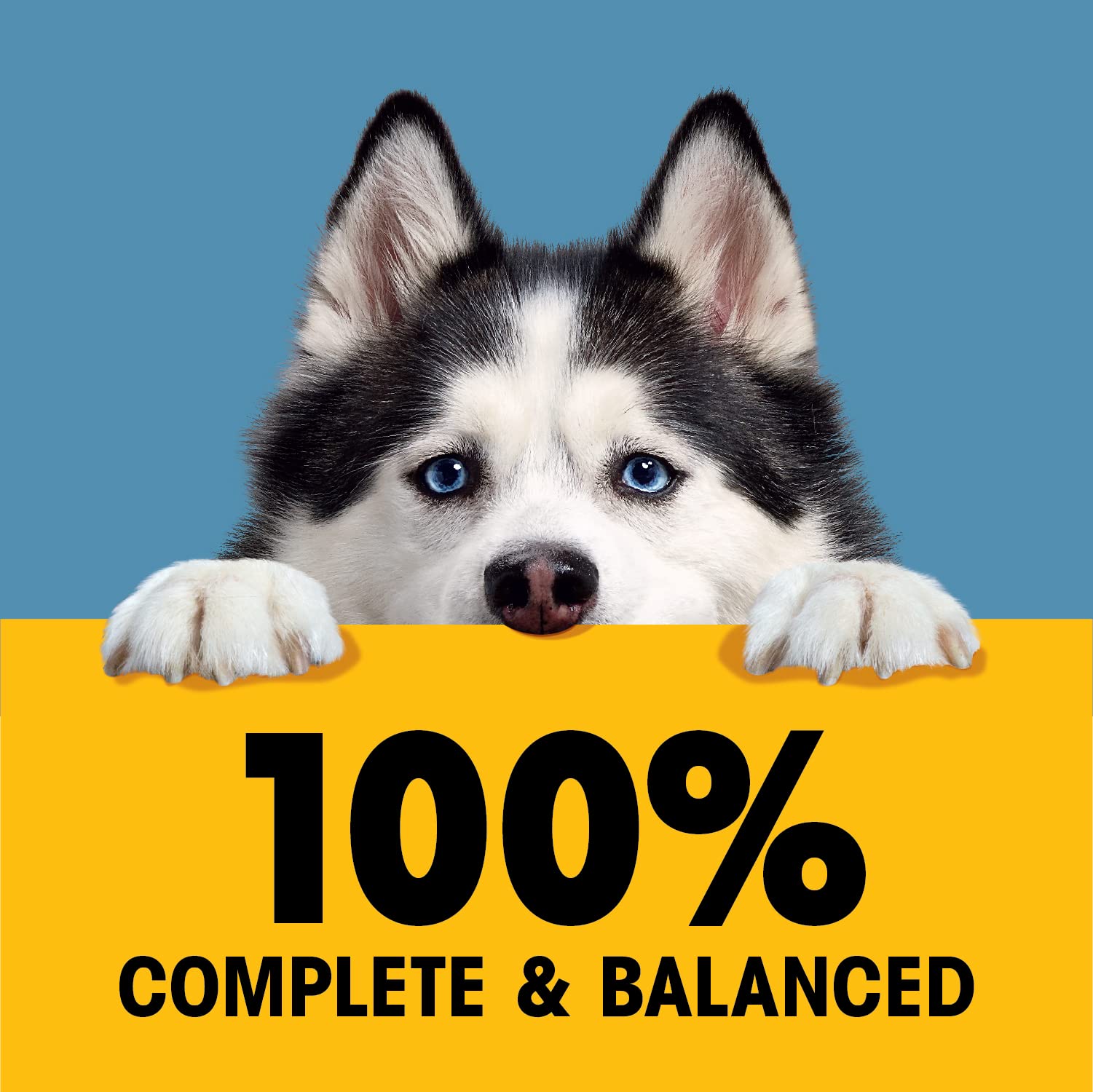 Pedigree High Protein Wet Dog Food Pouches, with Chicken and Turkey Cuts in Gravy, 3.5 oz. Pouches, 16 Count