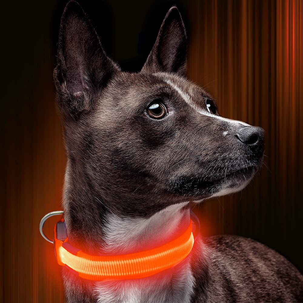 Illumifun Led Dog Collar, Usb Rechargeable Lighted Up Dog Collar, Adjustable Glowing Pet Safety Collar Light For Your Dogs Walking At Night (Orange, Medium)