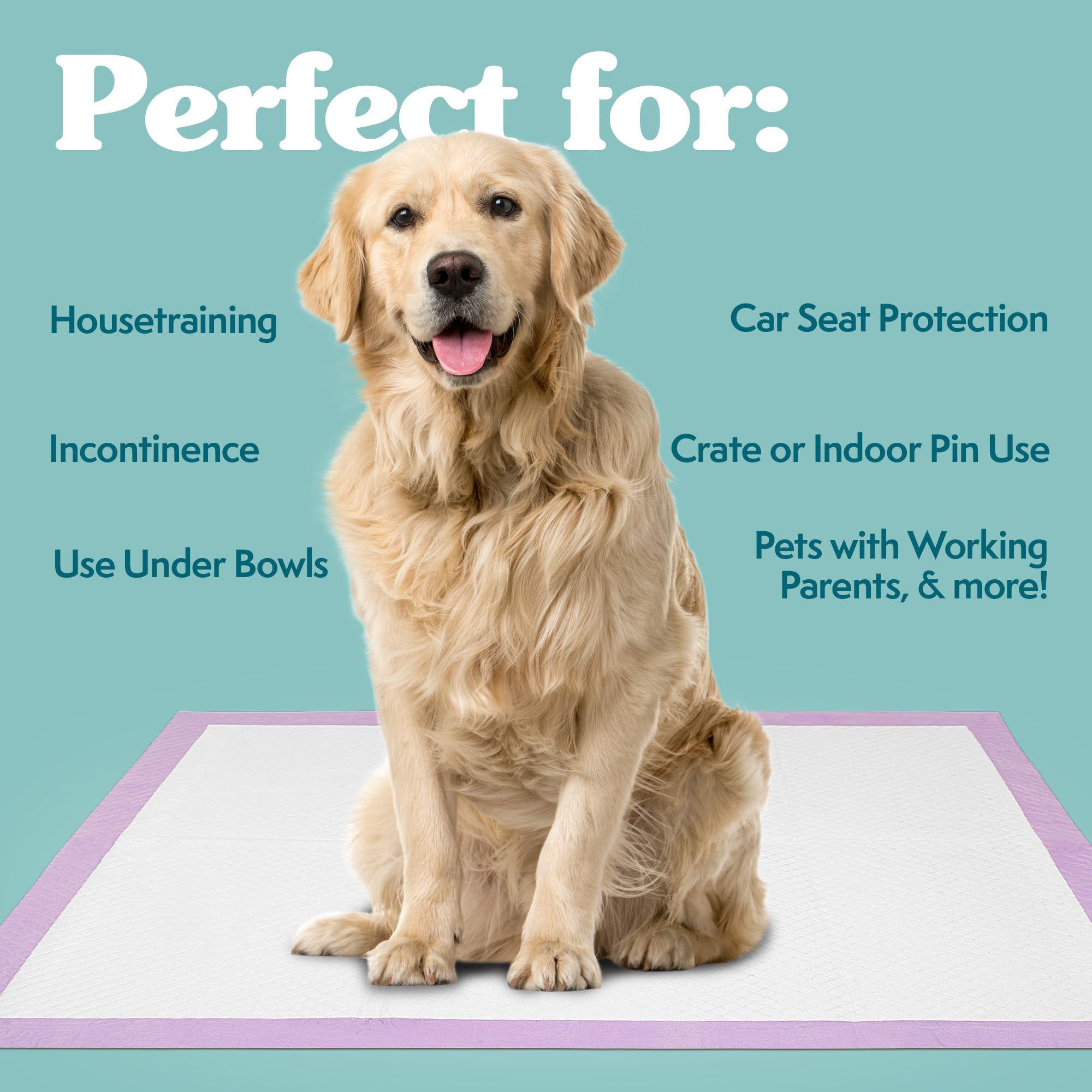 Simple Solution XL Disposable Dog Pee Pads, 6-Layer Absorbent, Leak Proof, Lavender Scent, 23"x24", 100 Count