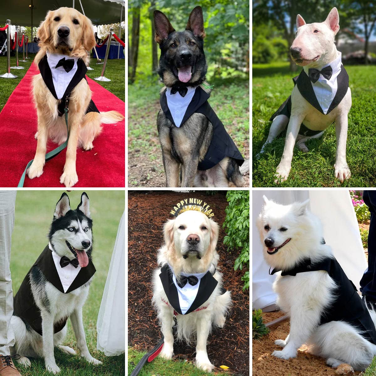Dog Tuxedo And Bandana Set, 2 Pack Pet Costume Puppy Formal Party Suit, Dog Clothes For Small Medium Large Dogs, Dog Prince Bow Tie Shirt Dog Wedding Attire For Golden Retriever Samo Bulldogs (Xl)