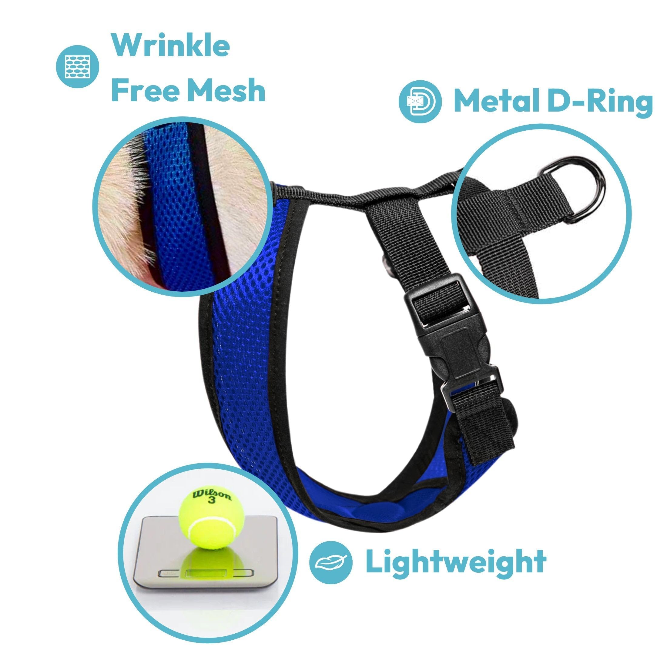 Gooby Comfort X Head In Harness - Turquoise, Small - No Pull Dog Harness, Patented Choke-Free X Frame - On The Go Dog Harness Fo