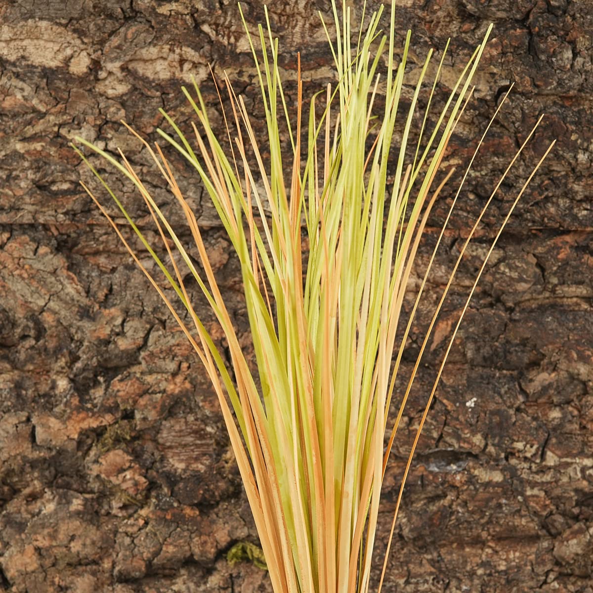 WOLEDOE Fake Desert Dry Grass, Reptile Plants for Terrarium, Bearded Dragon Tank Accessories Habitat Decor fit Crested Gecko Leo