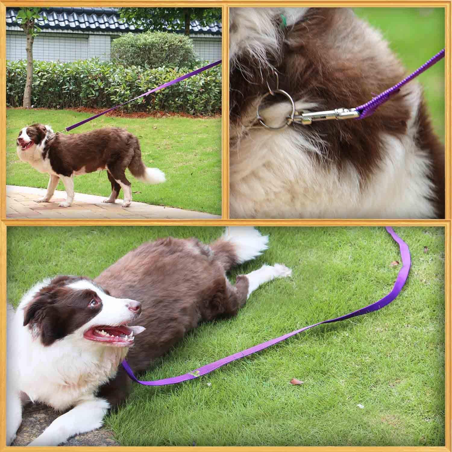 Amagood 6 Ft Puppy/Dog Leash, Strong And Durable Traditional Style Leash With Easy To Use Collar Hook, Great For Small, Medium A