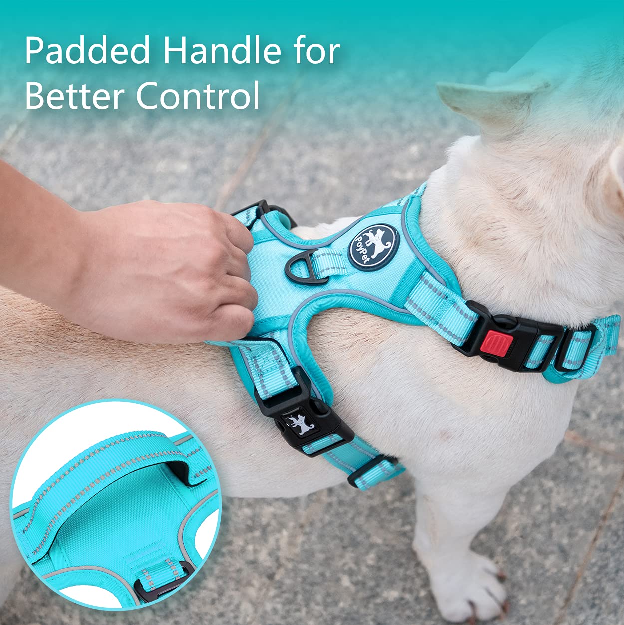 Poypet No Pull Dog Harness, No Choke Reflective Dog Vest, Adjustable Pet Harnesses With Easy Control Padded Handle For Small Medium Large Dogs(Mint Blue Matching Trim,Xl)