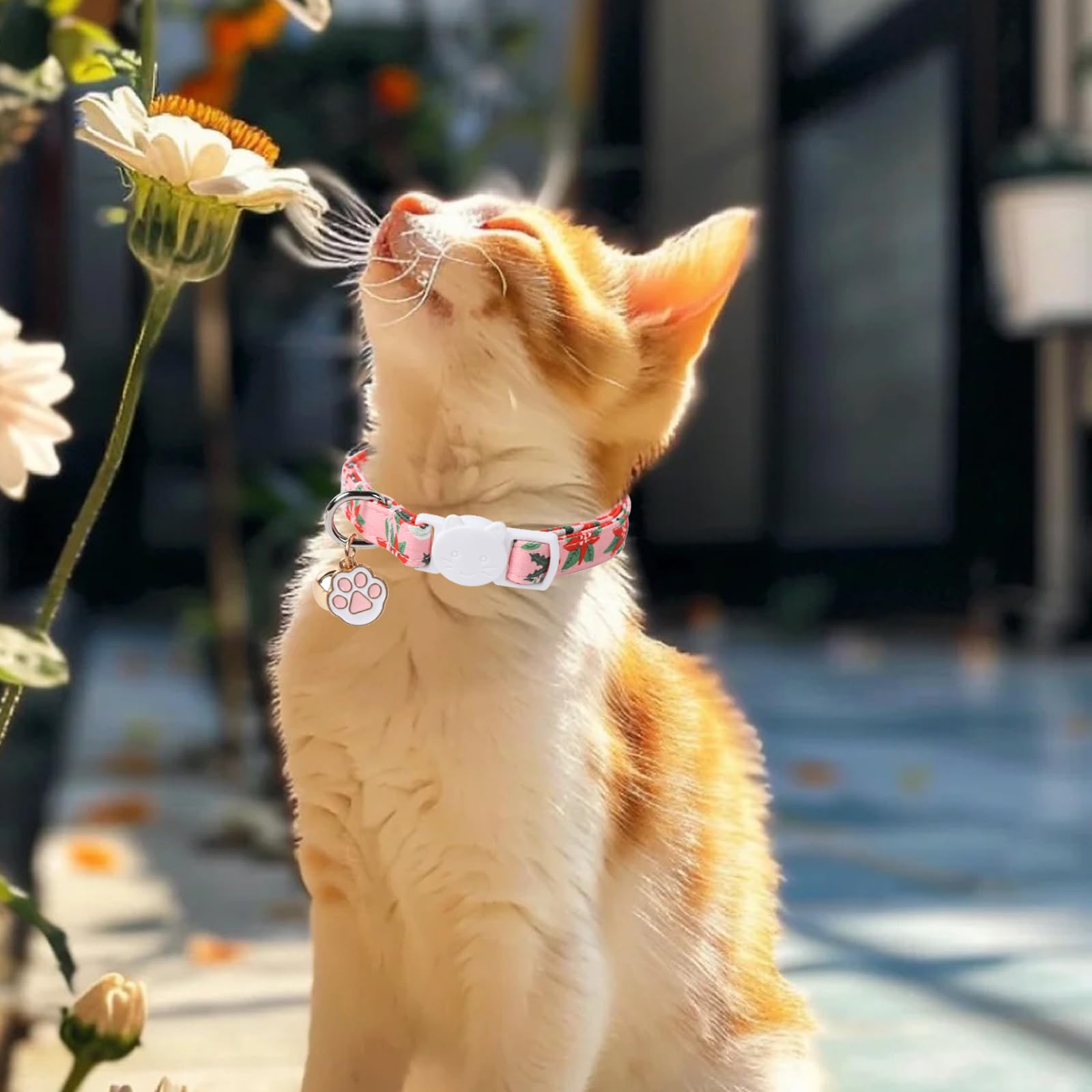 Unique Style Paws Christmas Kitten Collar,2 Pack Cat Collar For Girl Cats With Flower Pattern,Breakaway Cat Collar With Bell,Cut