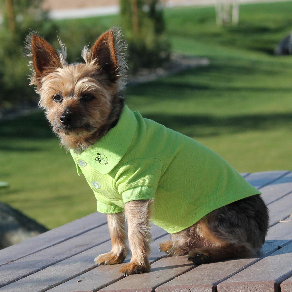 Doggie Design Solid Dog Polo Shirt (Green Flash, Xs)