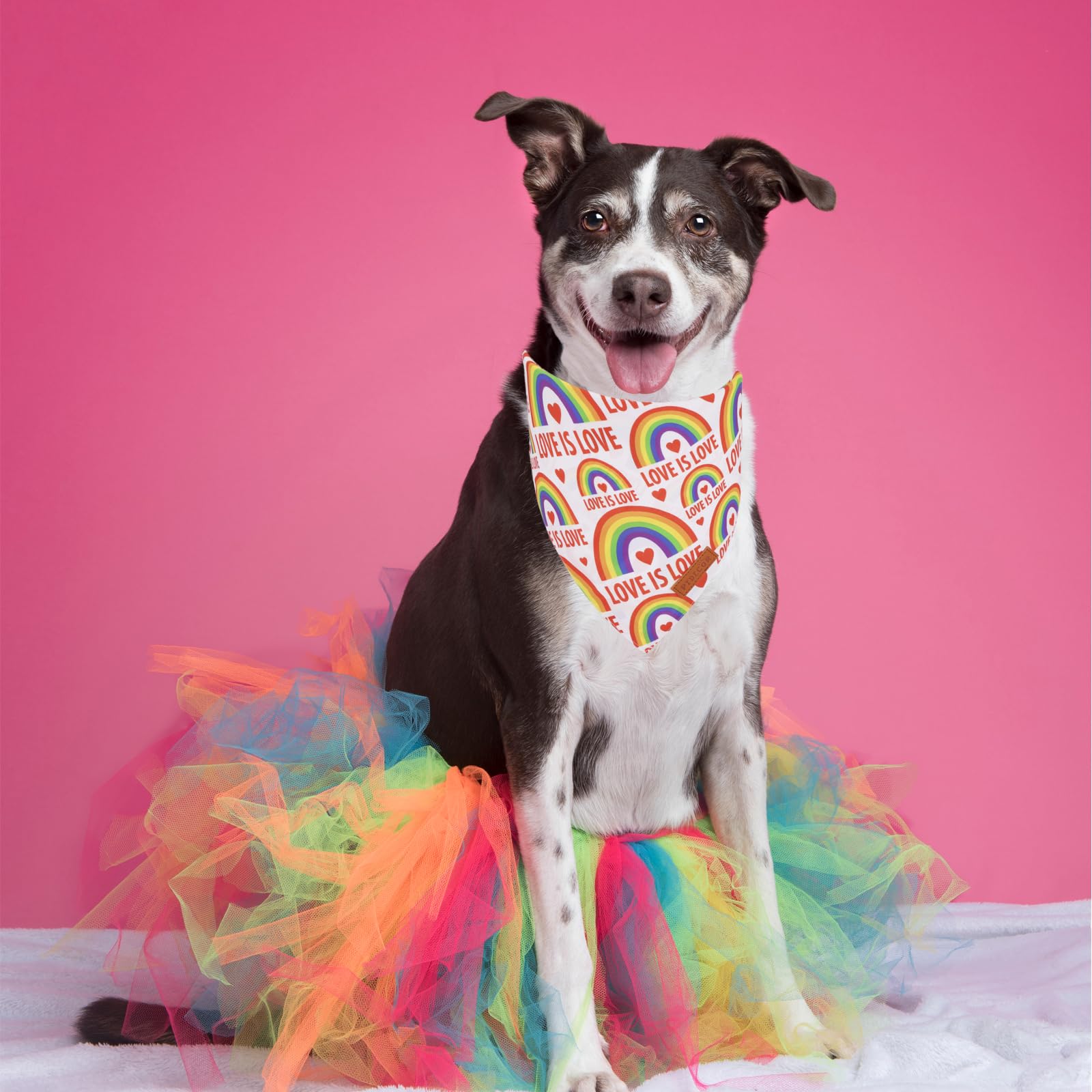 Ptdecor Rainbow Dog Bandanas Pride Day, Multi Size,Love Is Love    Pet Scarf Reversible Triangle Lgbt+ Rainbow Bandanas For Medi