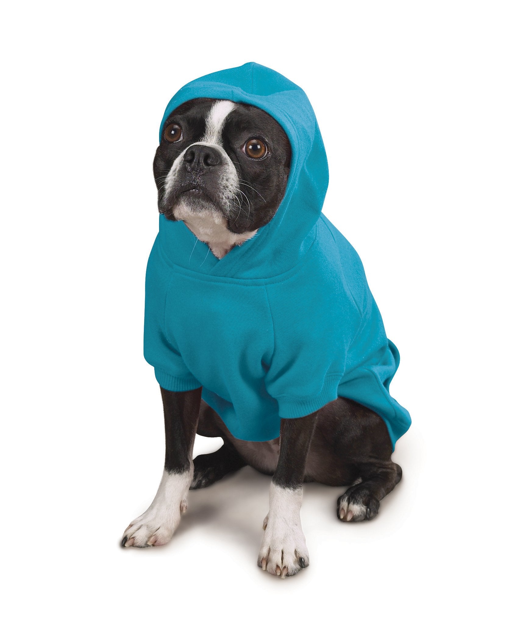 Zack & Zoey Basic Hoodie for Dogs, Medium 16", Bluebird, 65% Polyester, 35% Cotton, Model US2101 16 16