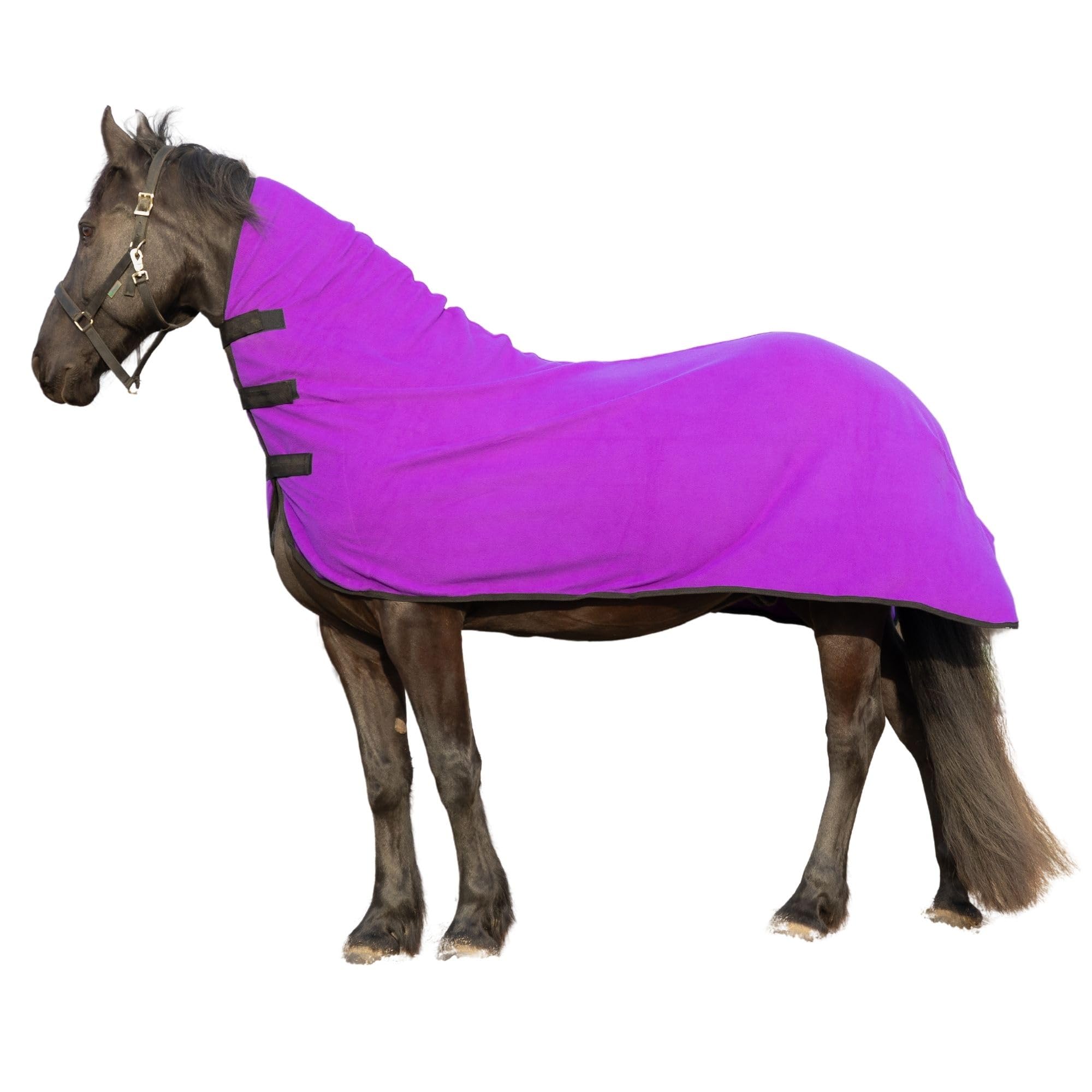 Resistance Long Lasting & Warm Soft Fleece Contour Cooler For Horse (X-Large (80''-82''), Purple)