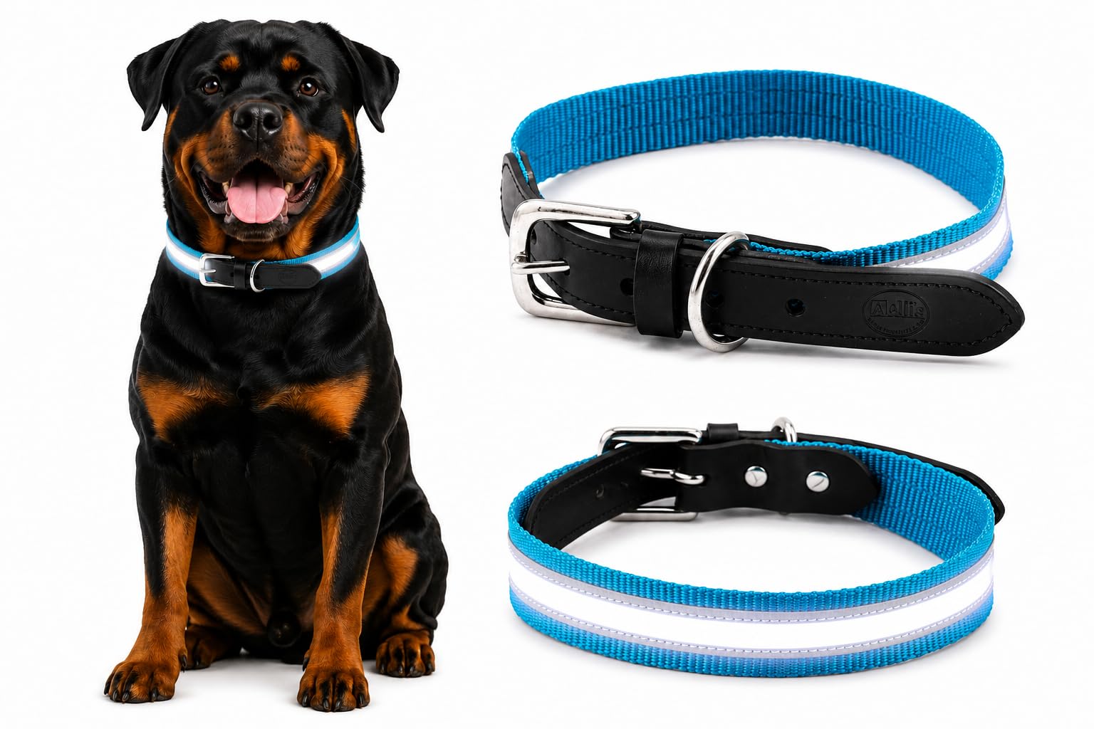 AdilS Reflective Nylon Dog Collar Adjustable Collar With Metal Buckle & DRing, Perfect For Small, Medium & Large Dogs Color:T