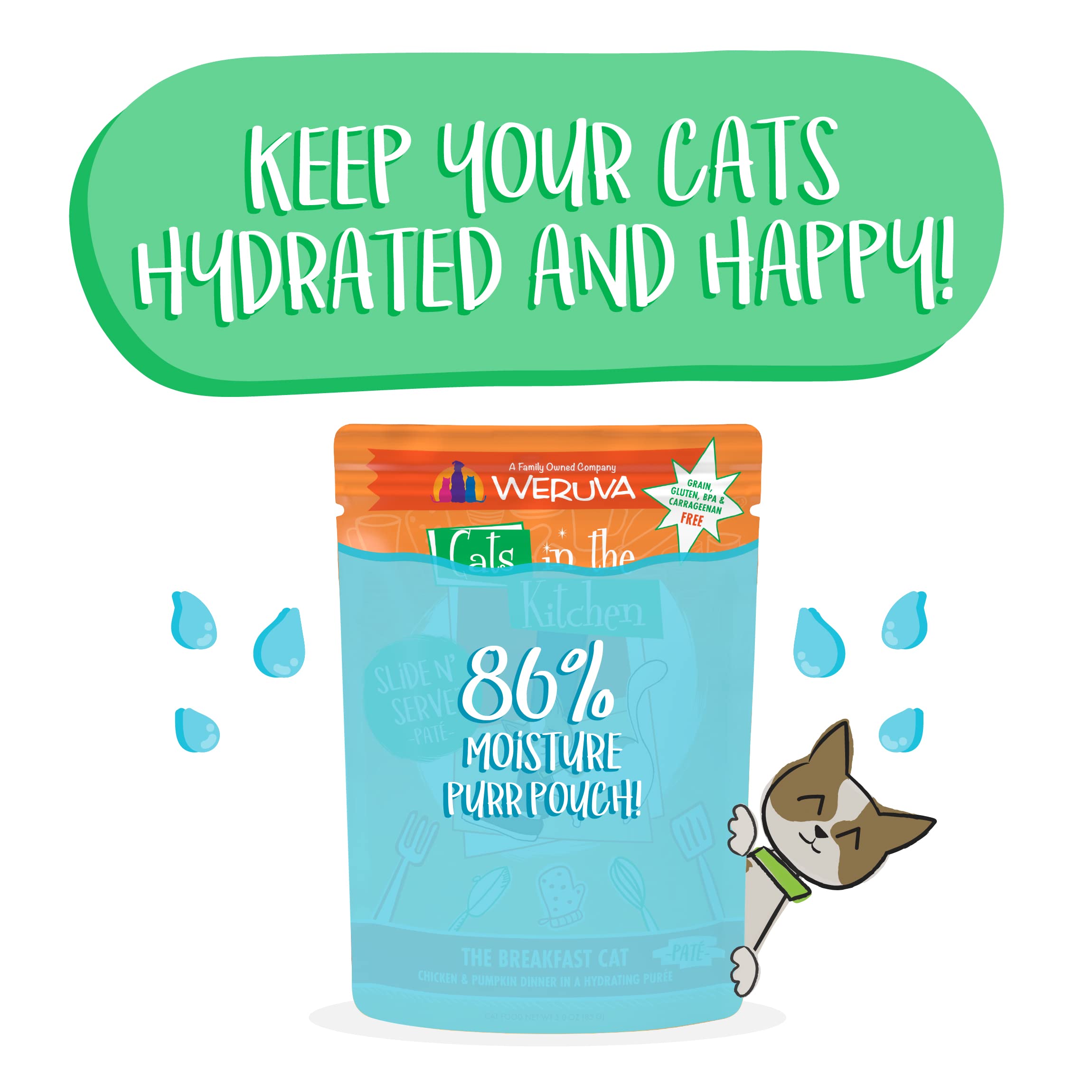 Weruva Cats in The Kitchen Pat  , The Breakfast Cat with Chicken & Pumpkin, 3oz Pouch (Pack of 12)