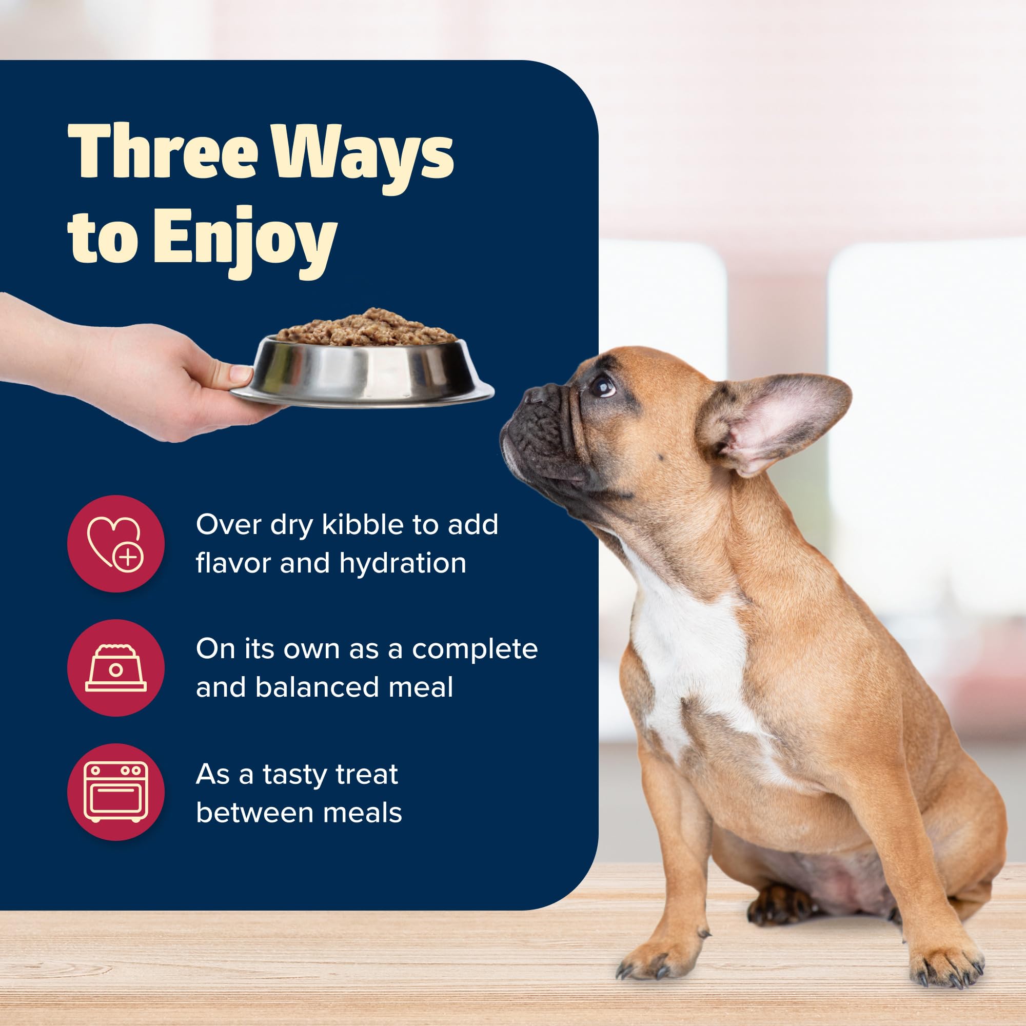 Blue Buffalo Freedom Grain-Free Wet Dog Food, Free of Glutens & Artificial Preservatives, Made With Natural Ingredients, Beef Re