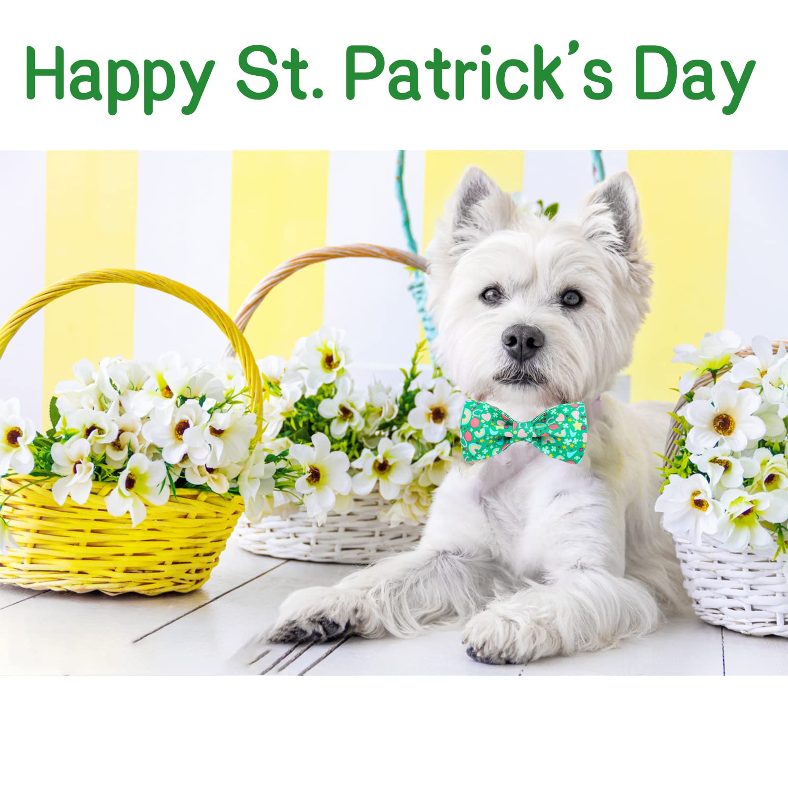 Unique Style Paws St. Patrick 'S Day Dog Collar With Bow Tie Rainbow Clover Heart Puppy Collar For Small Medium Large Boys Girls