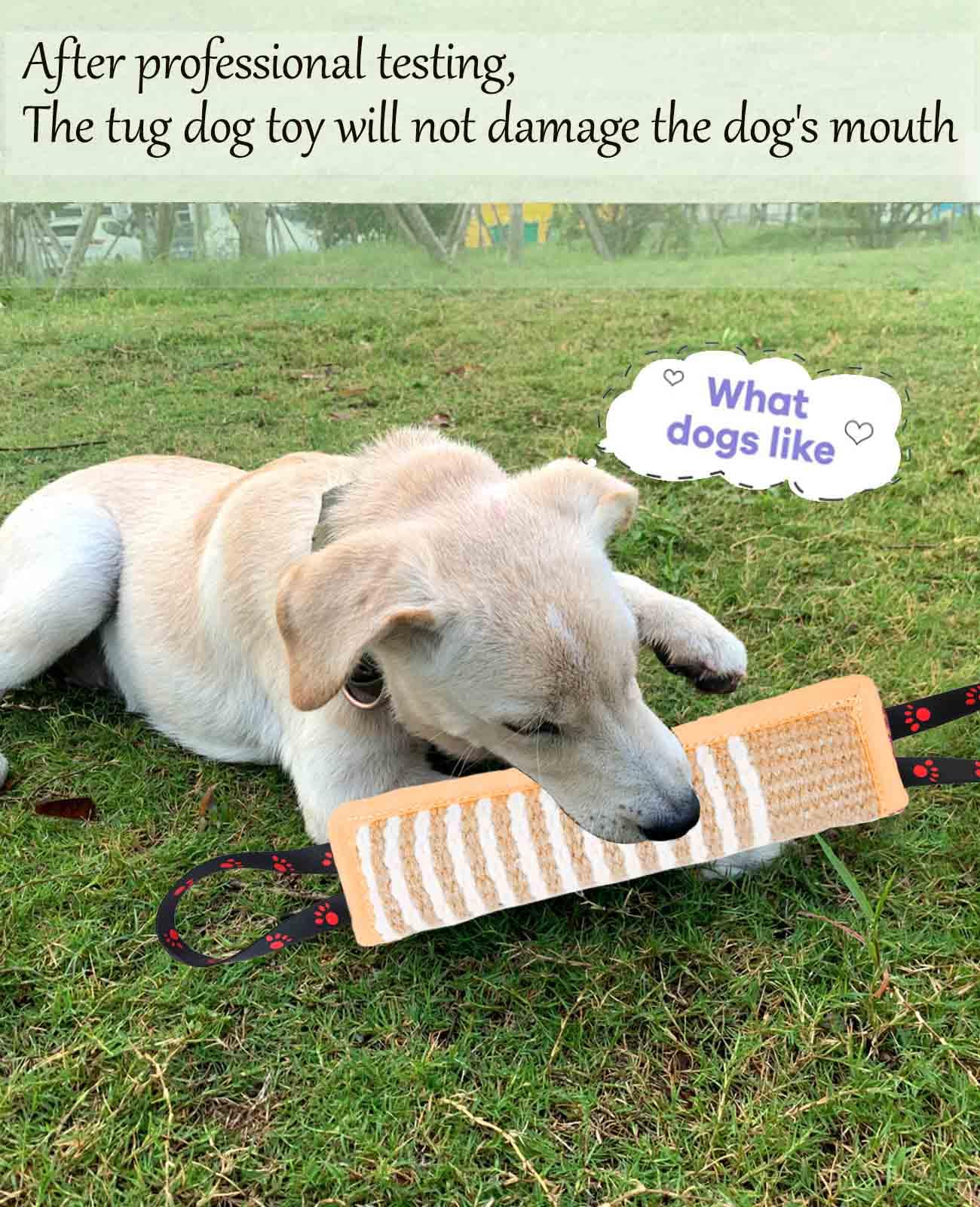 Clysoru Dog Tug Toy Dog Tough Jute Bite Pillow Lasting Training Equipment Puppy To Large Dogs Interactive Toy For Large Dogs And